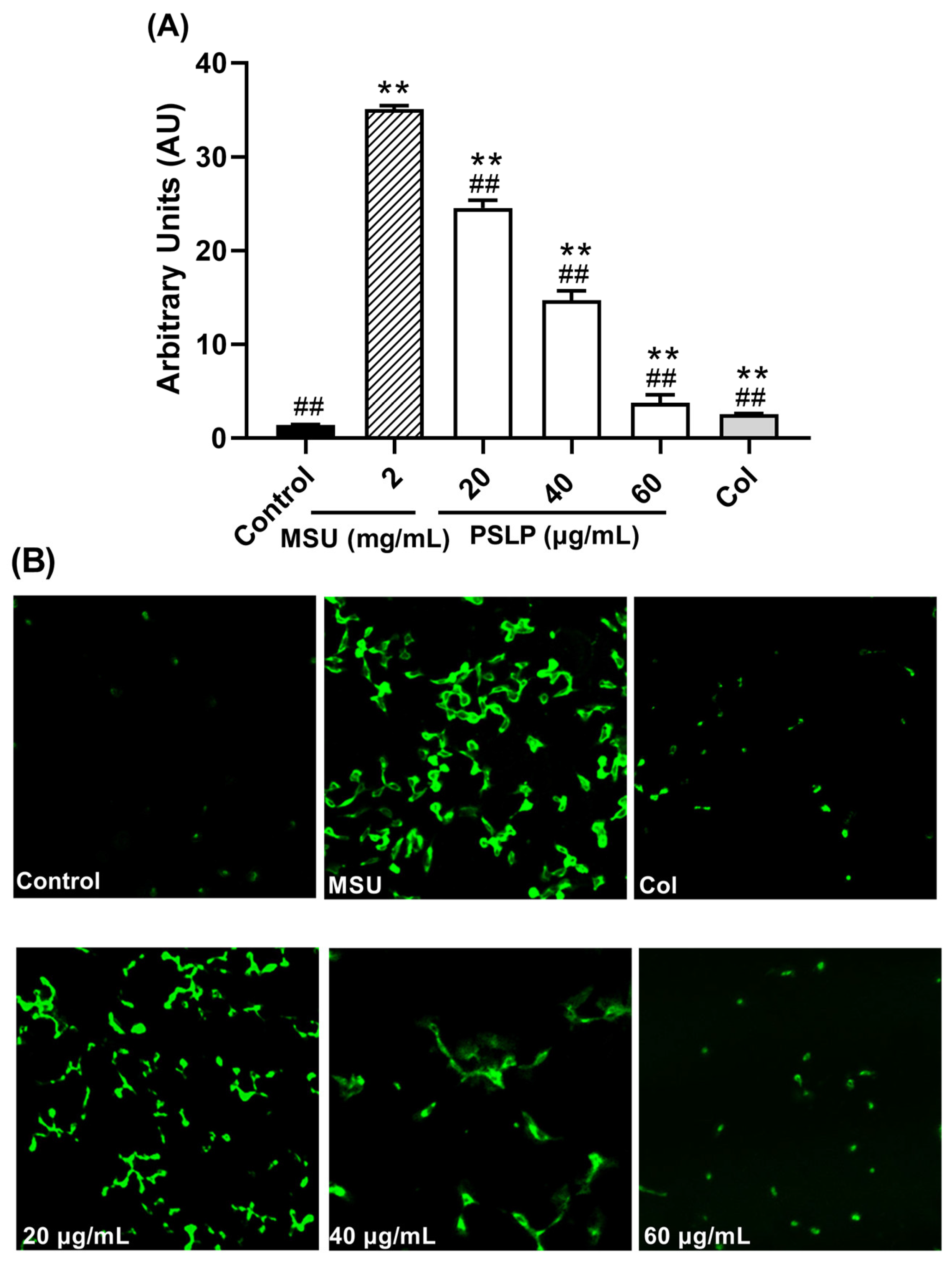 Foods 12 00254 g006 Foods 12 00254 g006