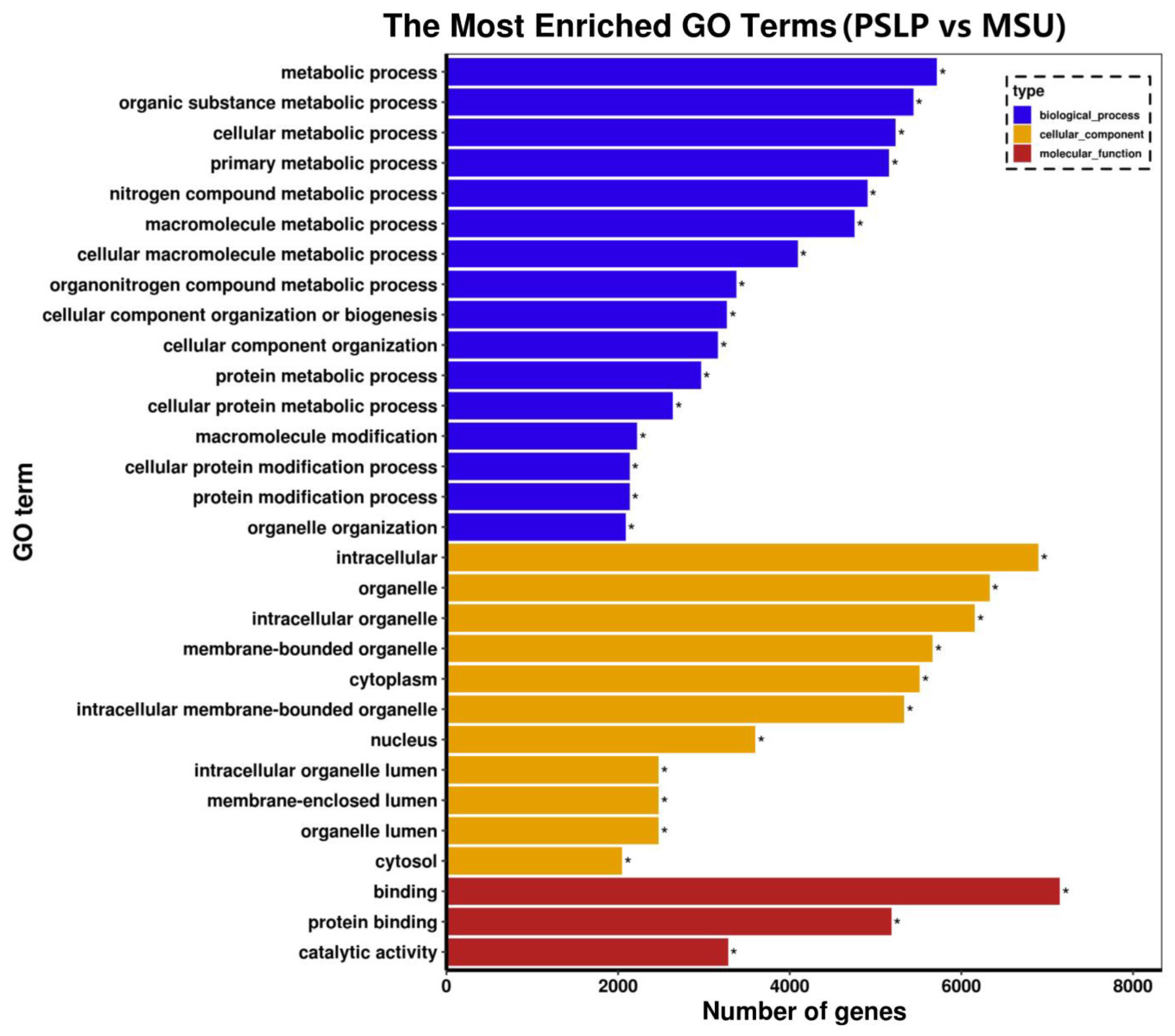 Foods 12 00254 g008 Foods 12 00254 g008