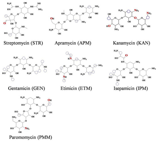 Foods Free Full Text Production of Ribosomal Protein S12