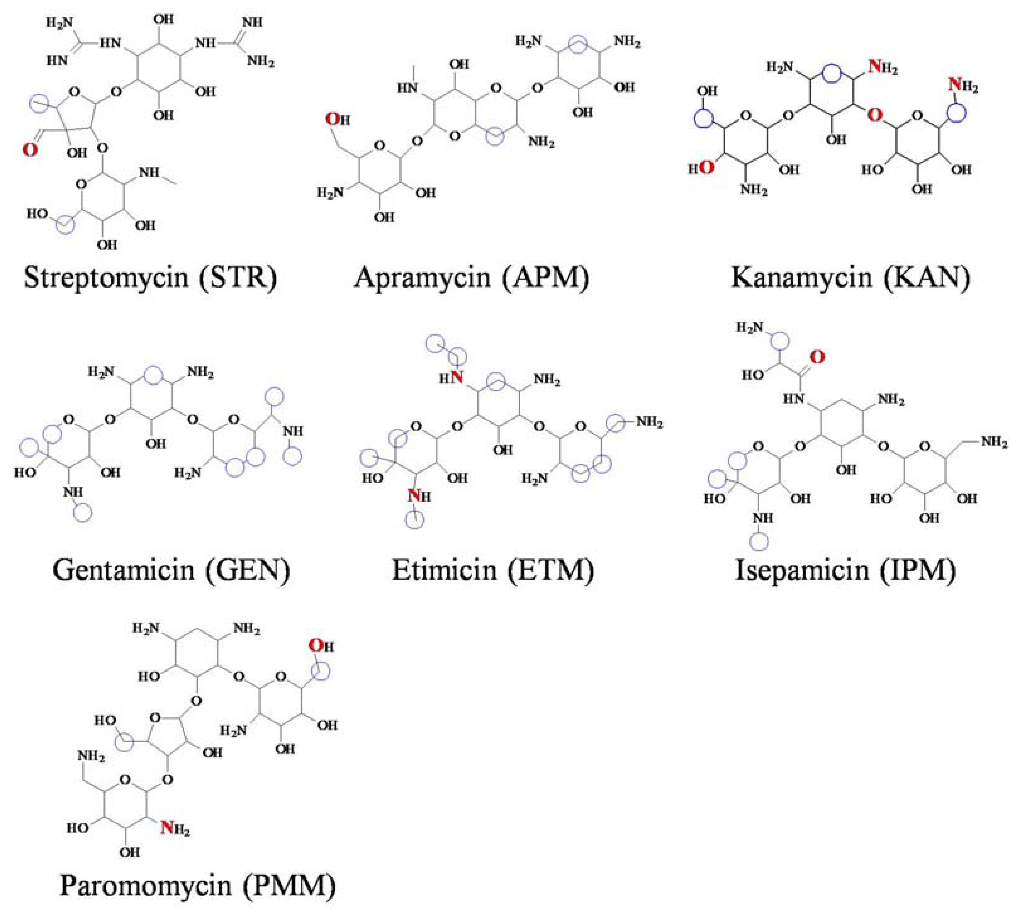 Foods Free Full Text Production of Ribosomal Protein S12