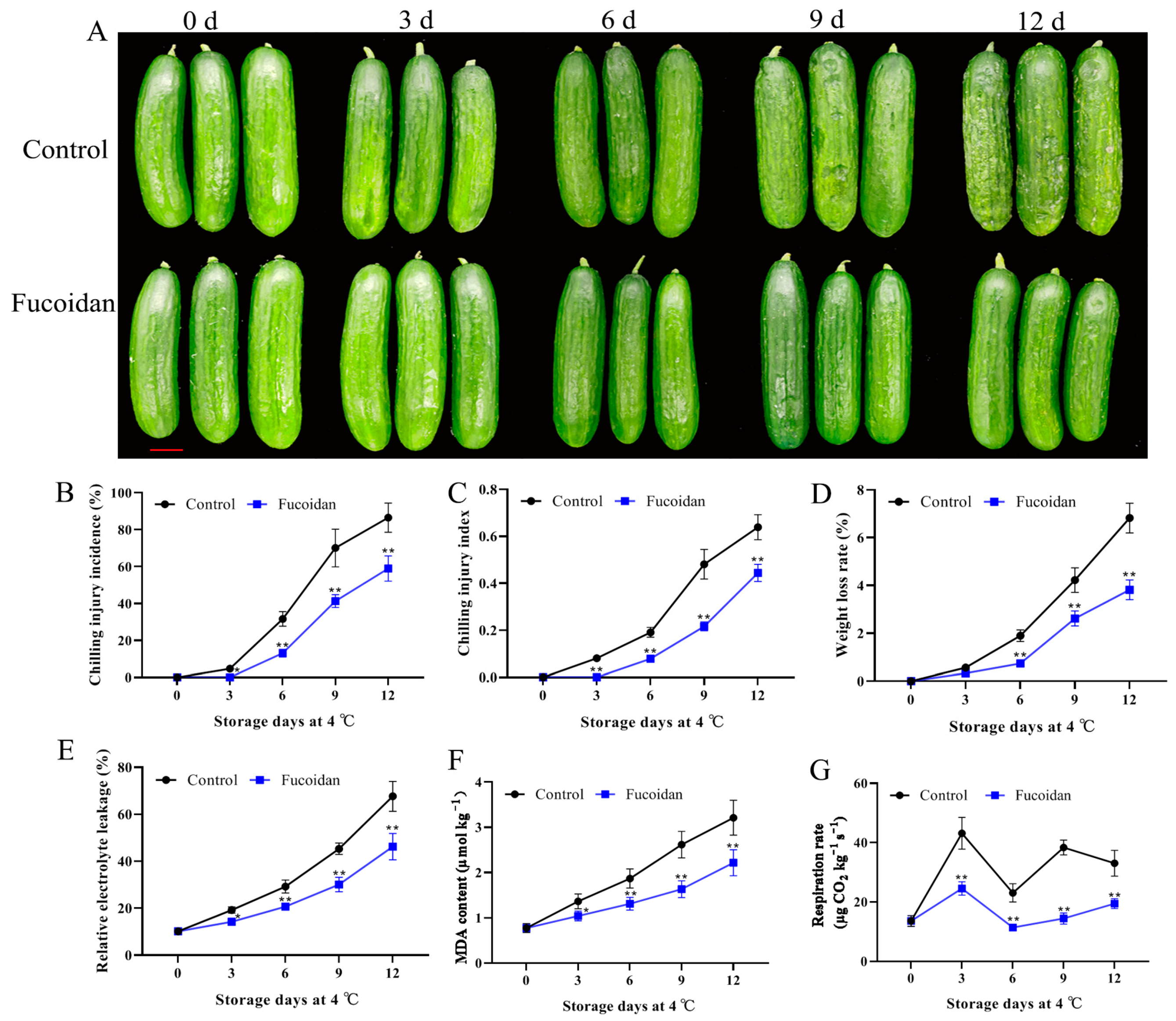 Foods 12 00301 g001 Foods 12 00301 g001