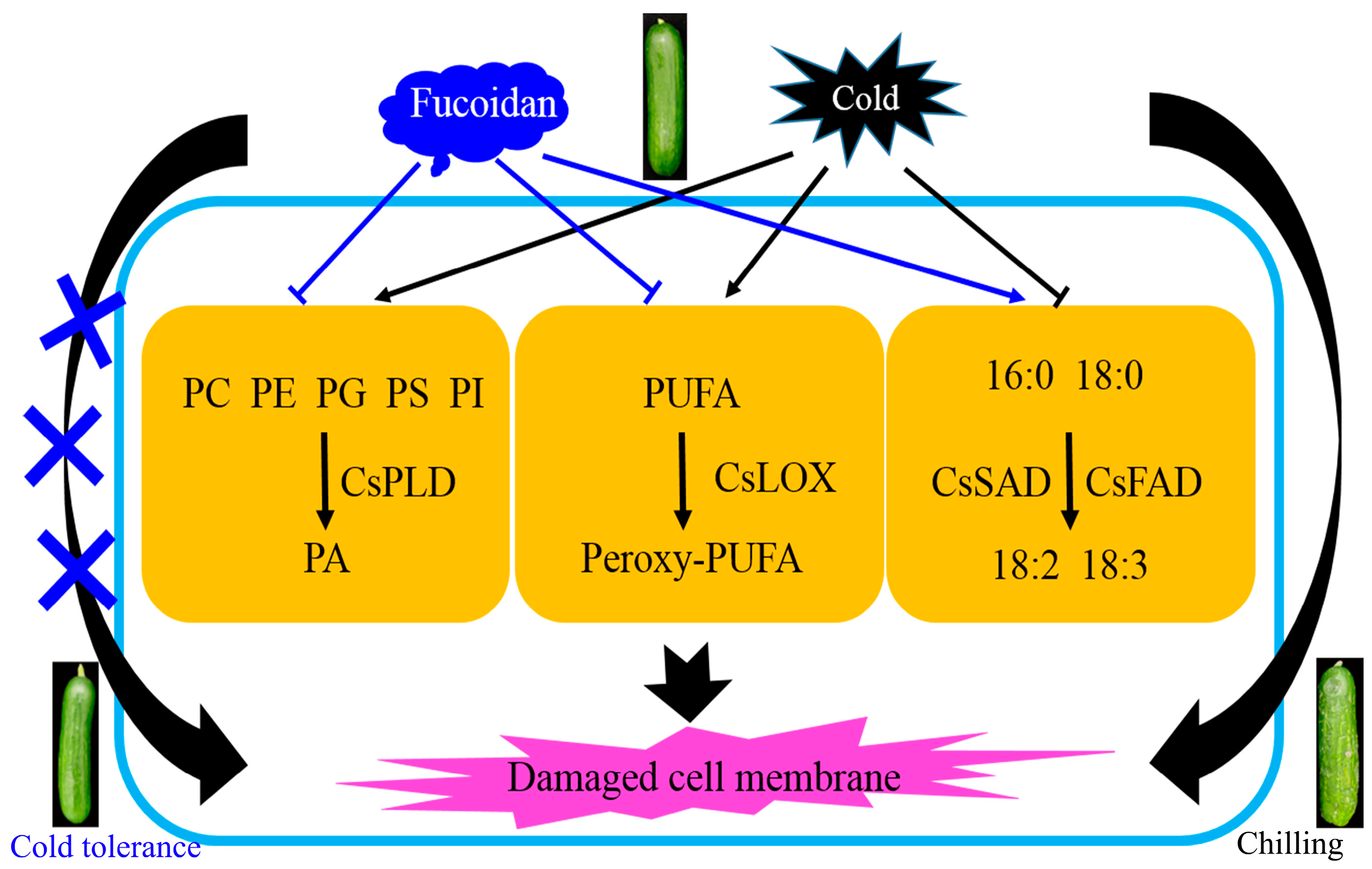 Foods 12 00301 g006 Foods 12 00301 g006
