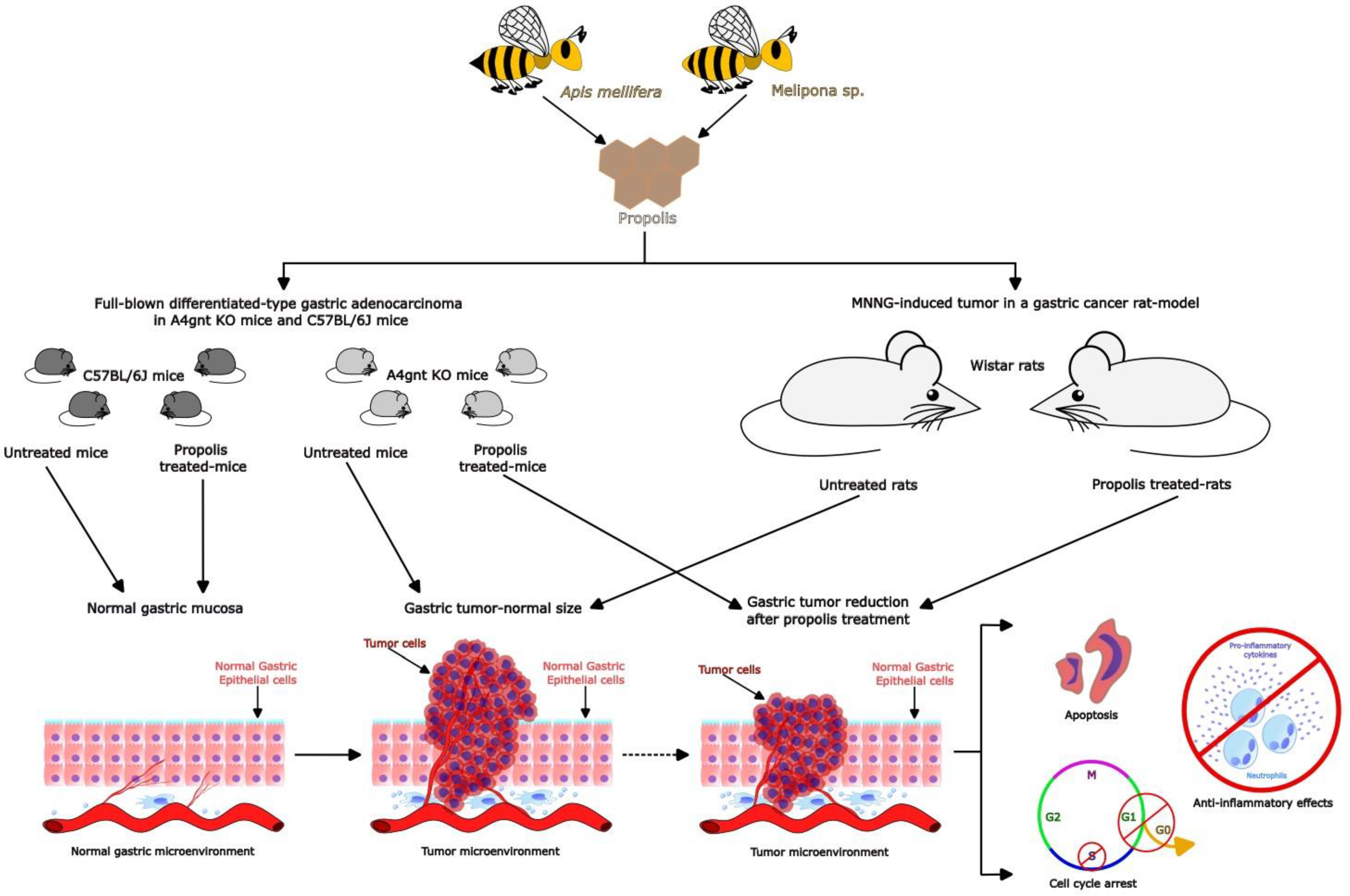 Foods 12 00415 g003 Foods 12 00415 g003