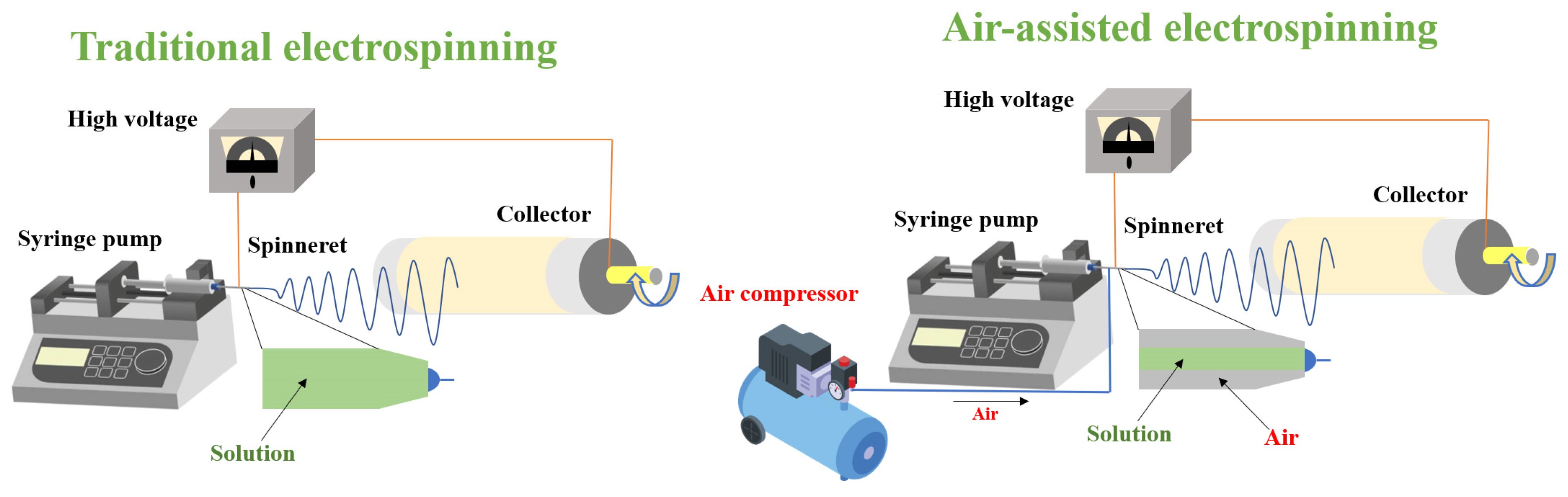 Foods 12 00451 g001 Foods 12 00451 g001