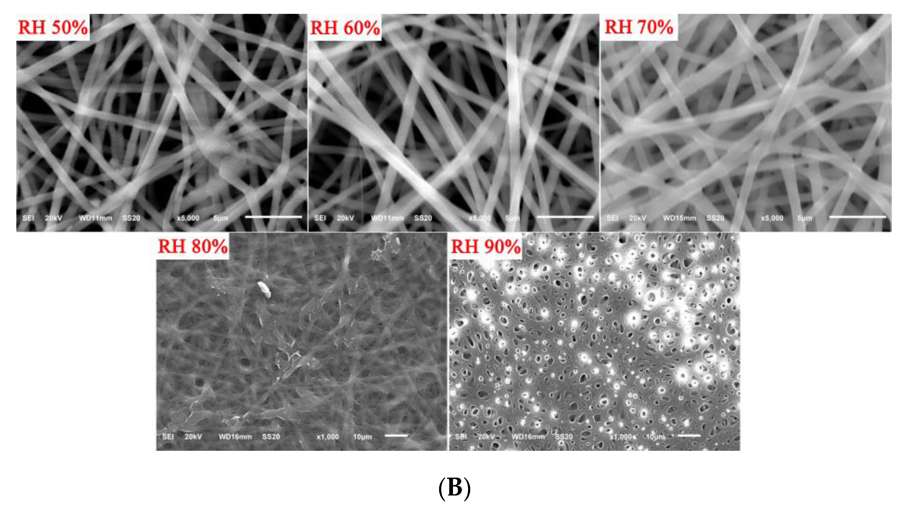 Foods 12 00451 g002b Foods 12 00451 g002b