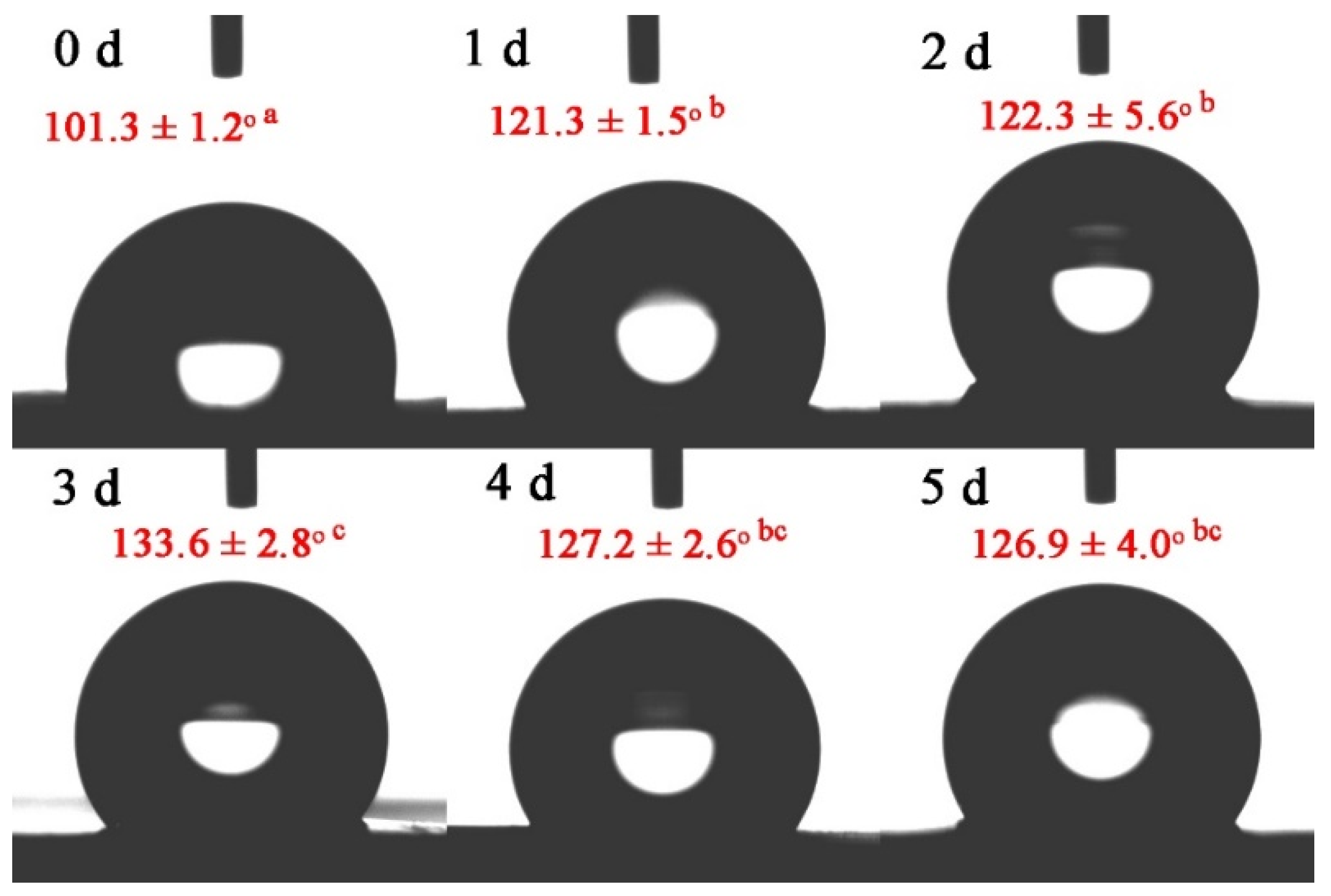Foods 12 00451 g007 Foods 12 00451 g007
