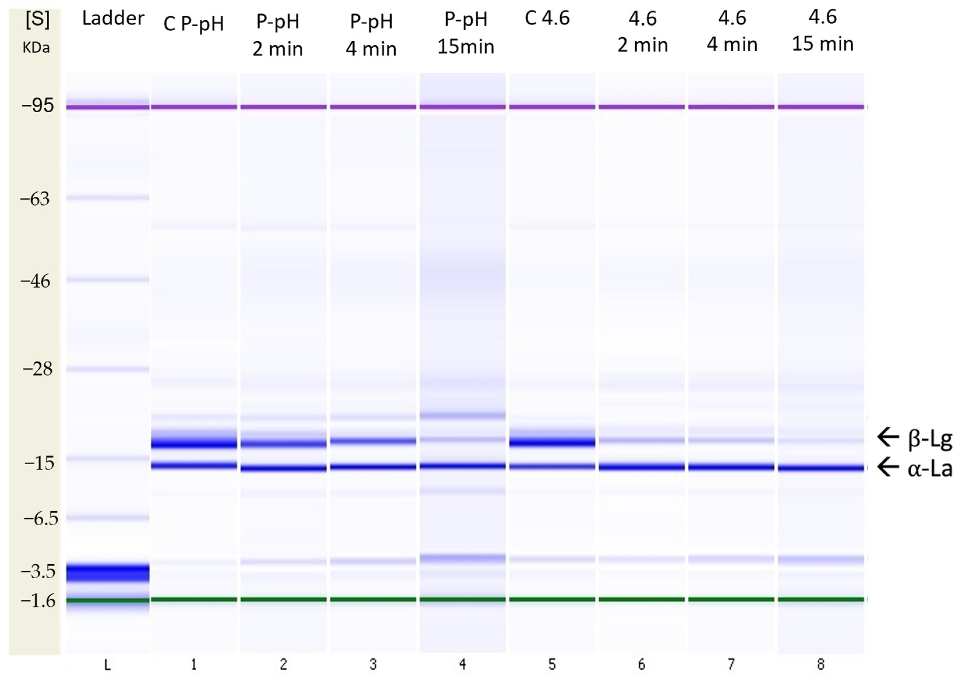 Foods 12 00480 g007 Foods 12 00480 g007