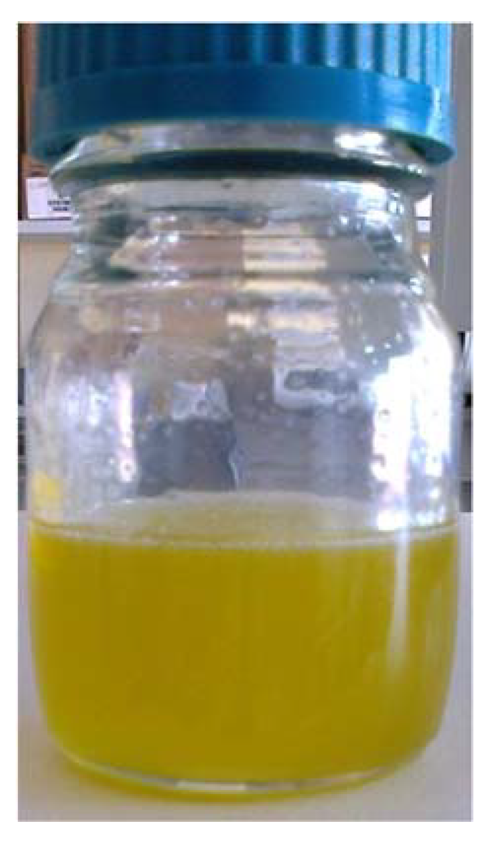 Foods 12 00497 g004 Foods 12 00497 g004