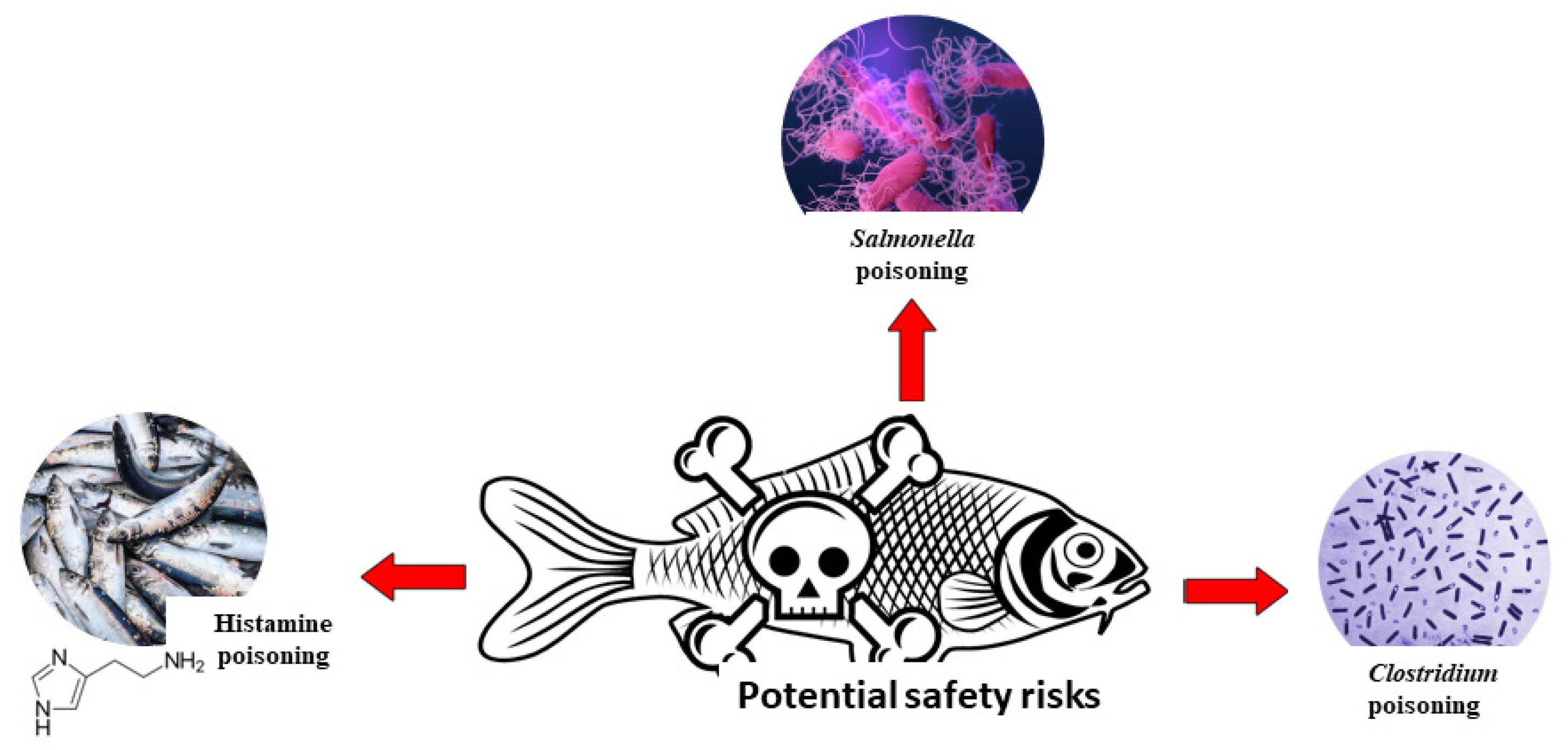 Foods 12 00558 g005 Foods 12 00558 g005