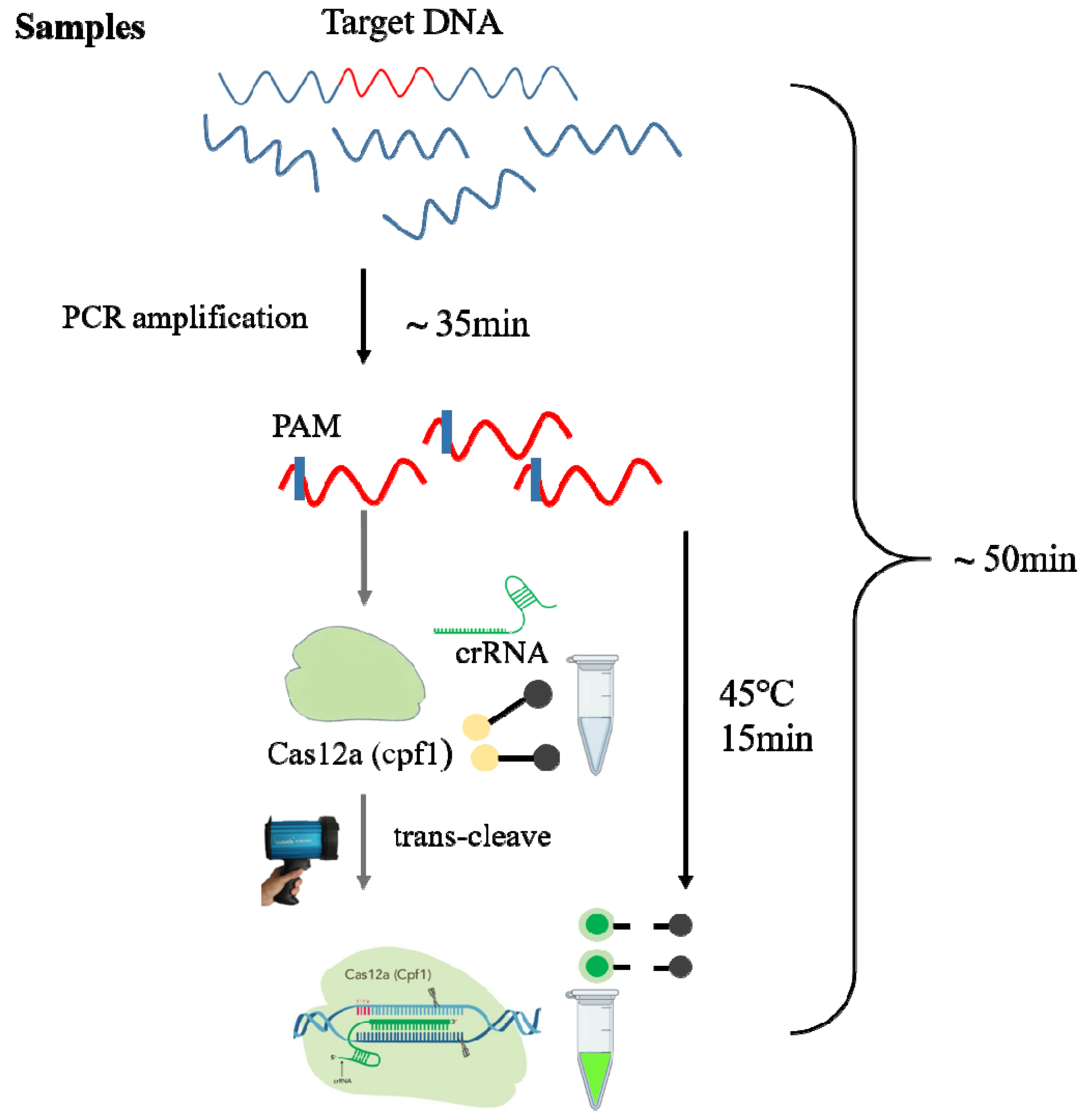 Foods 12 00615 g001 Foods 12 00615 g001