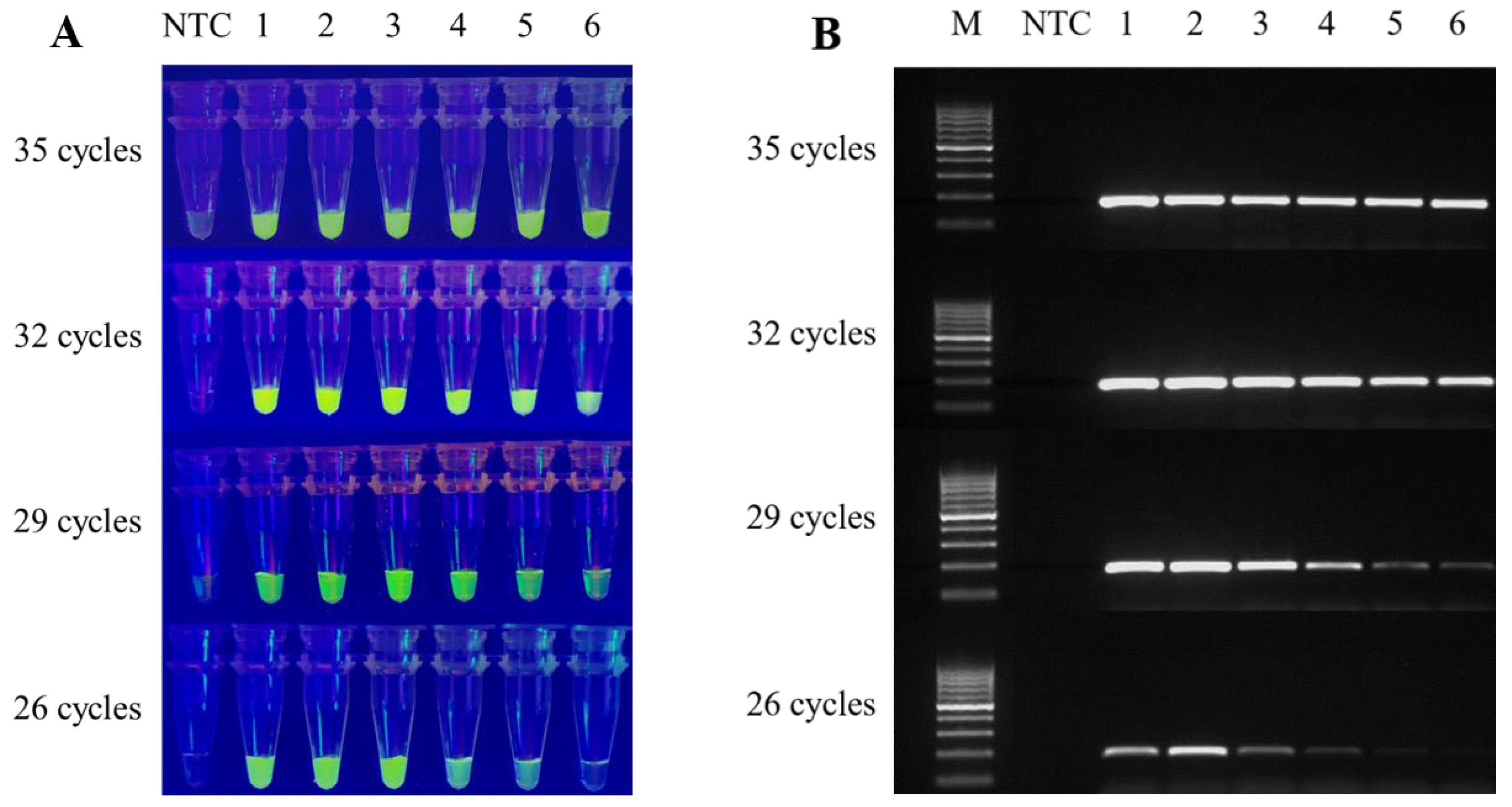 Foods 12 00615 g004 Foods 12 00615 g004