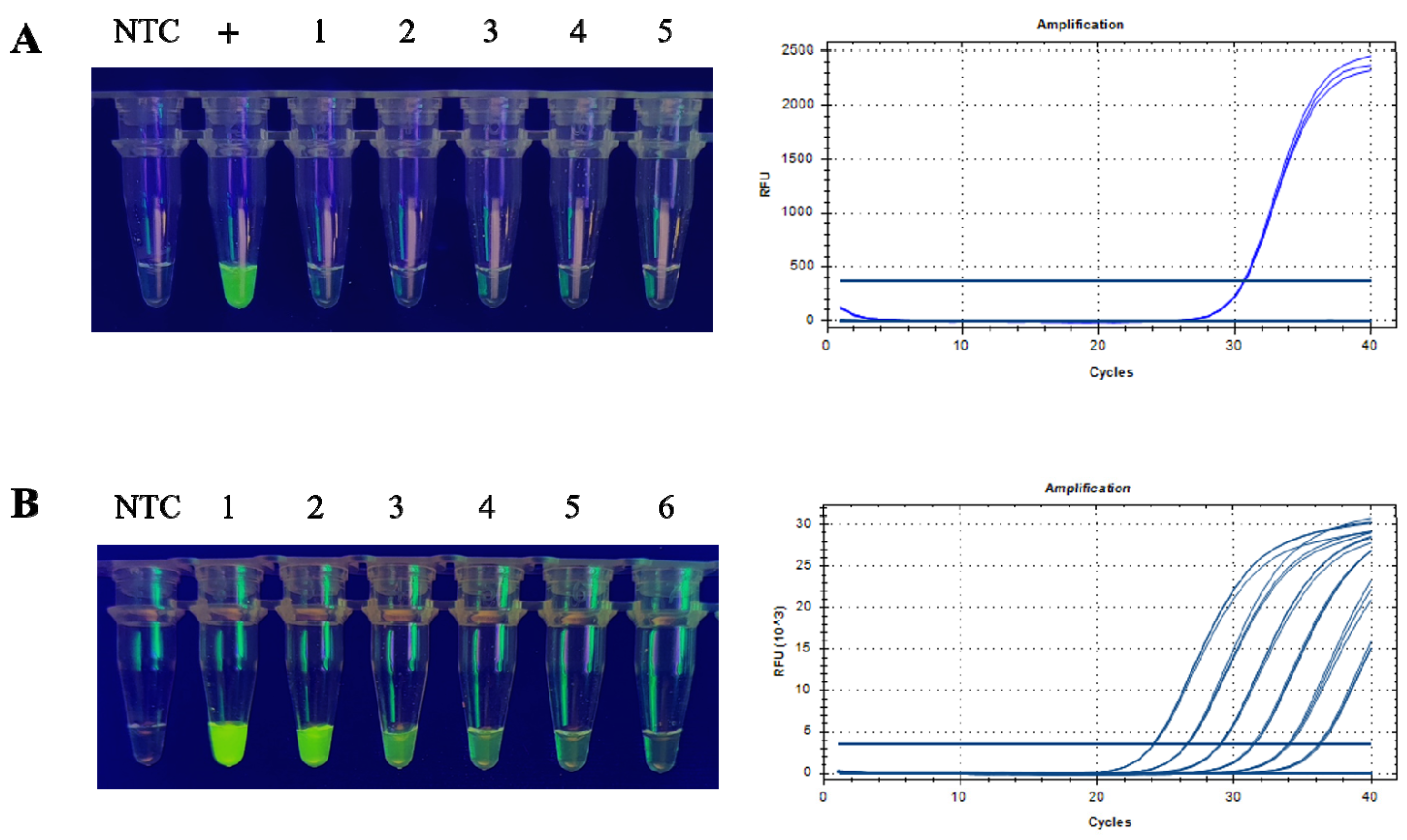 Foods 12 00615 g005 Foods 12 00615 g005
