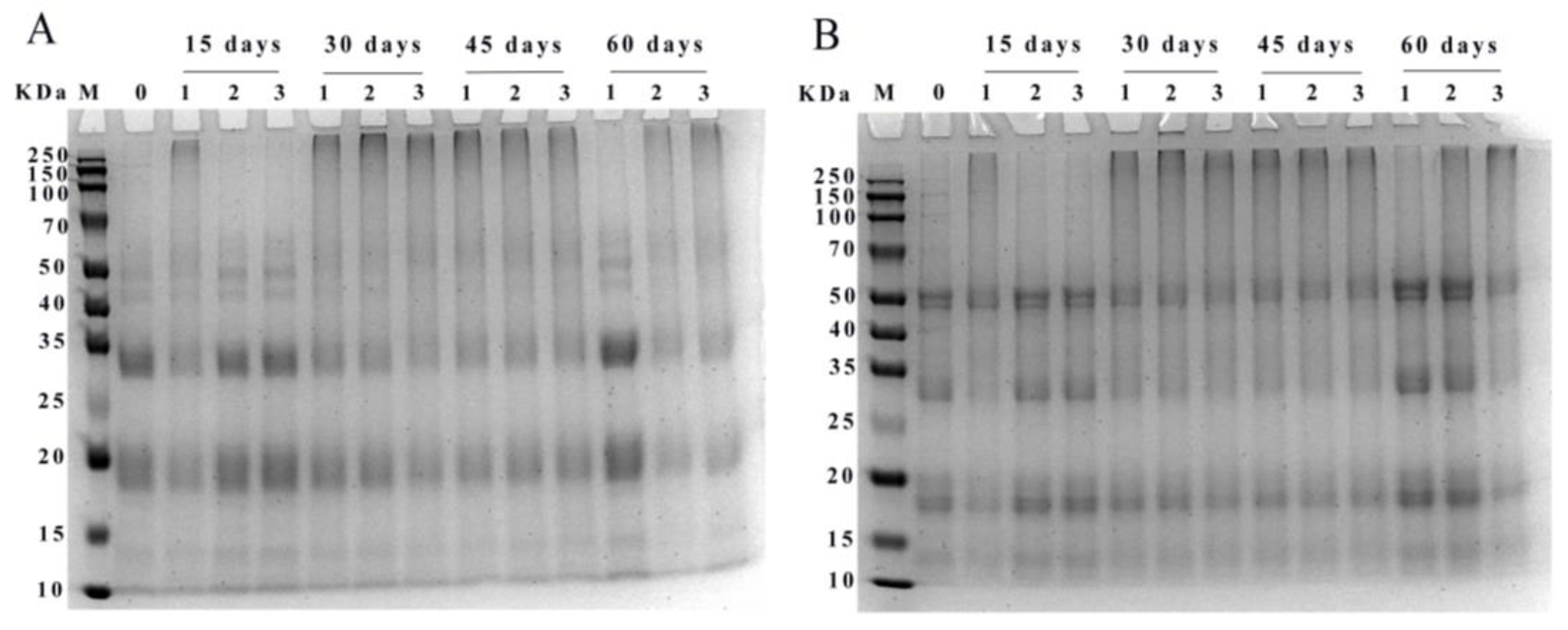 Foods 12 00620 g006 Foods 12 00620 g006