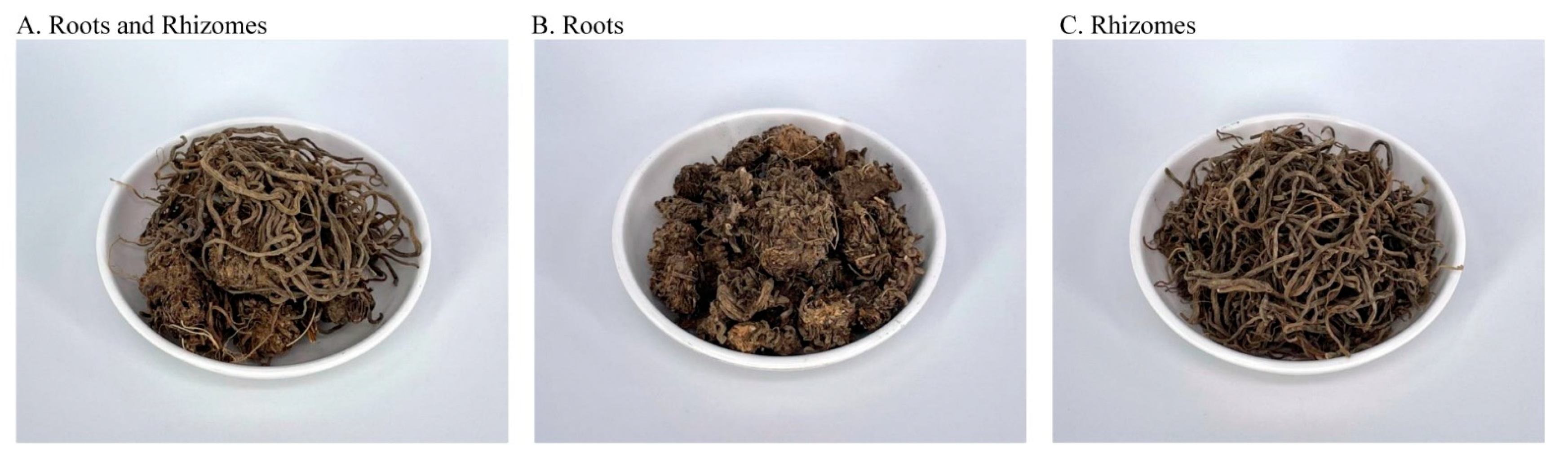 Foods 12 00636 g001 Foods 12 00636 g001