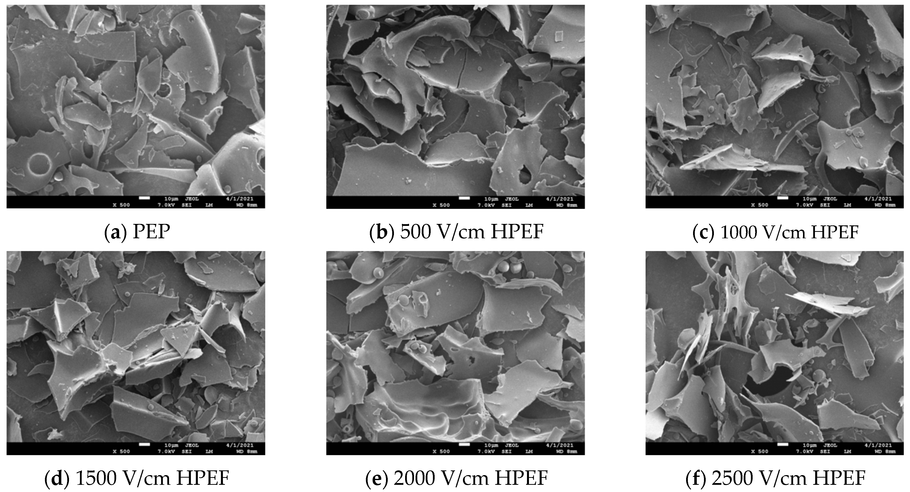 Foods 12 00647 g002a