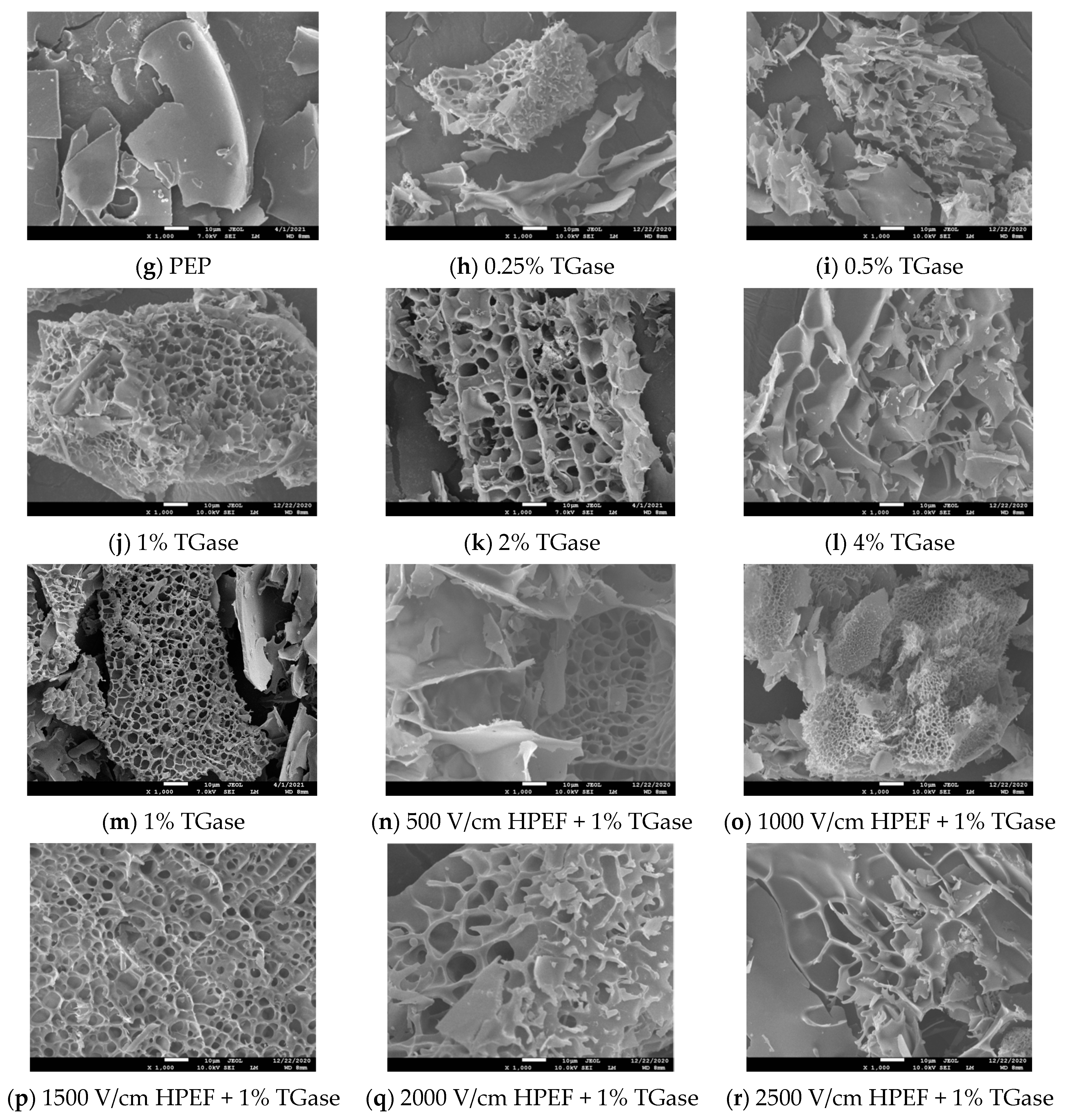 Foods 12 00647 g002b