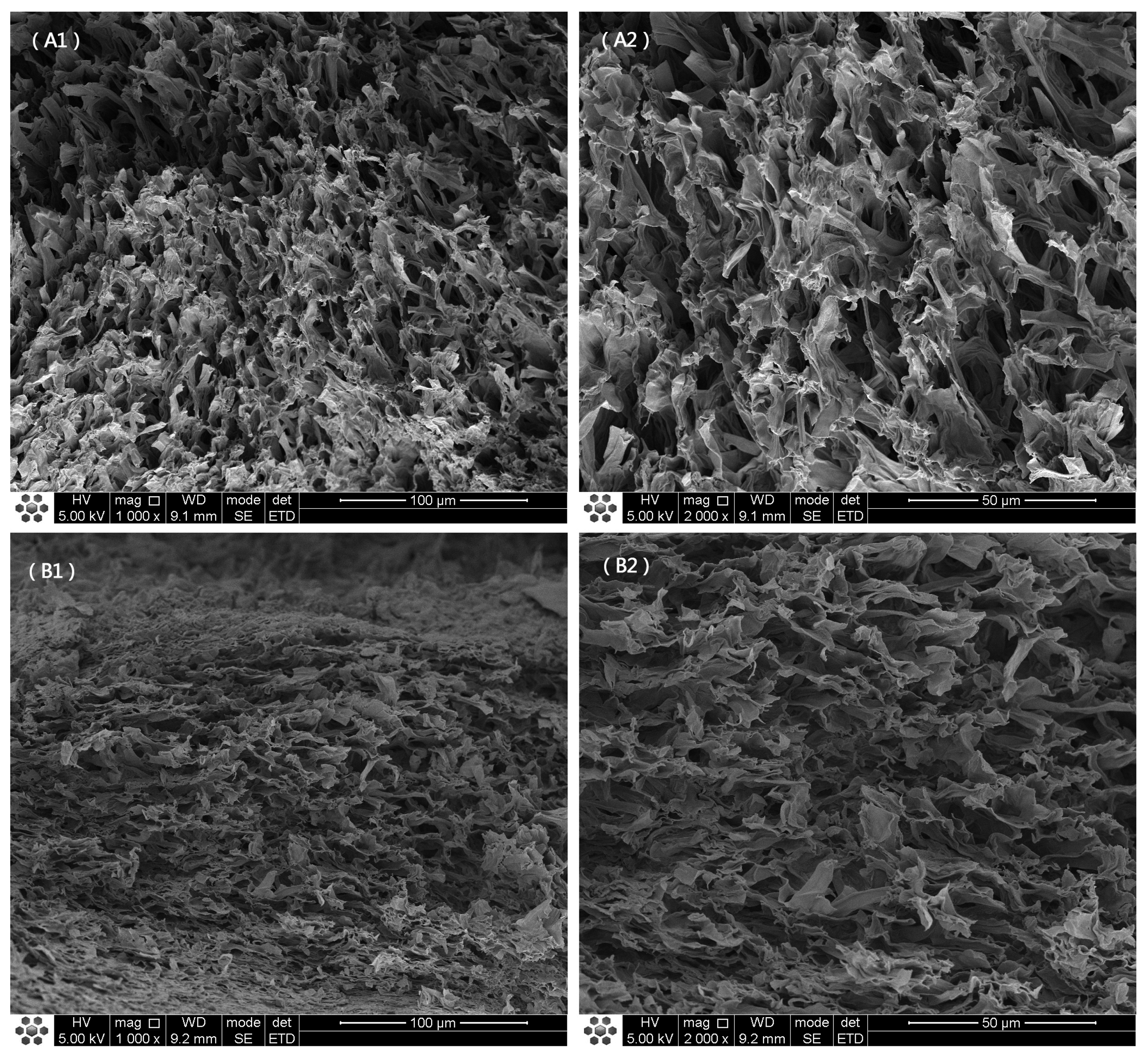 Foods 12 00676 g002a