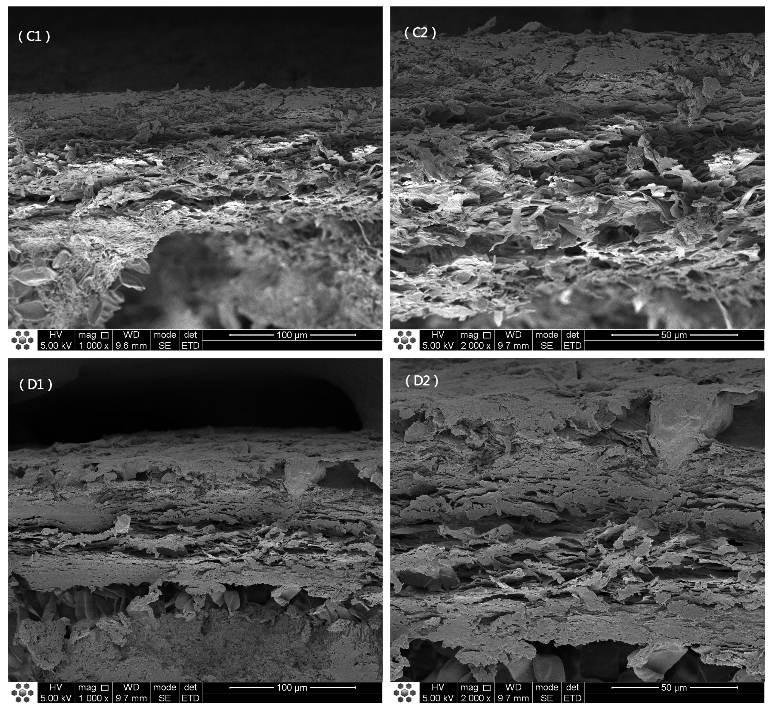 Foods 12 00676 g002b