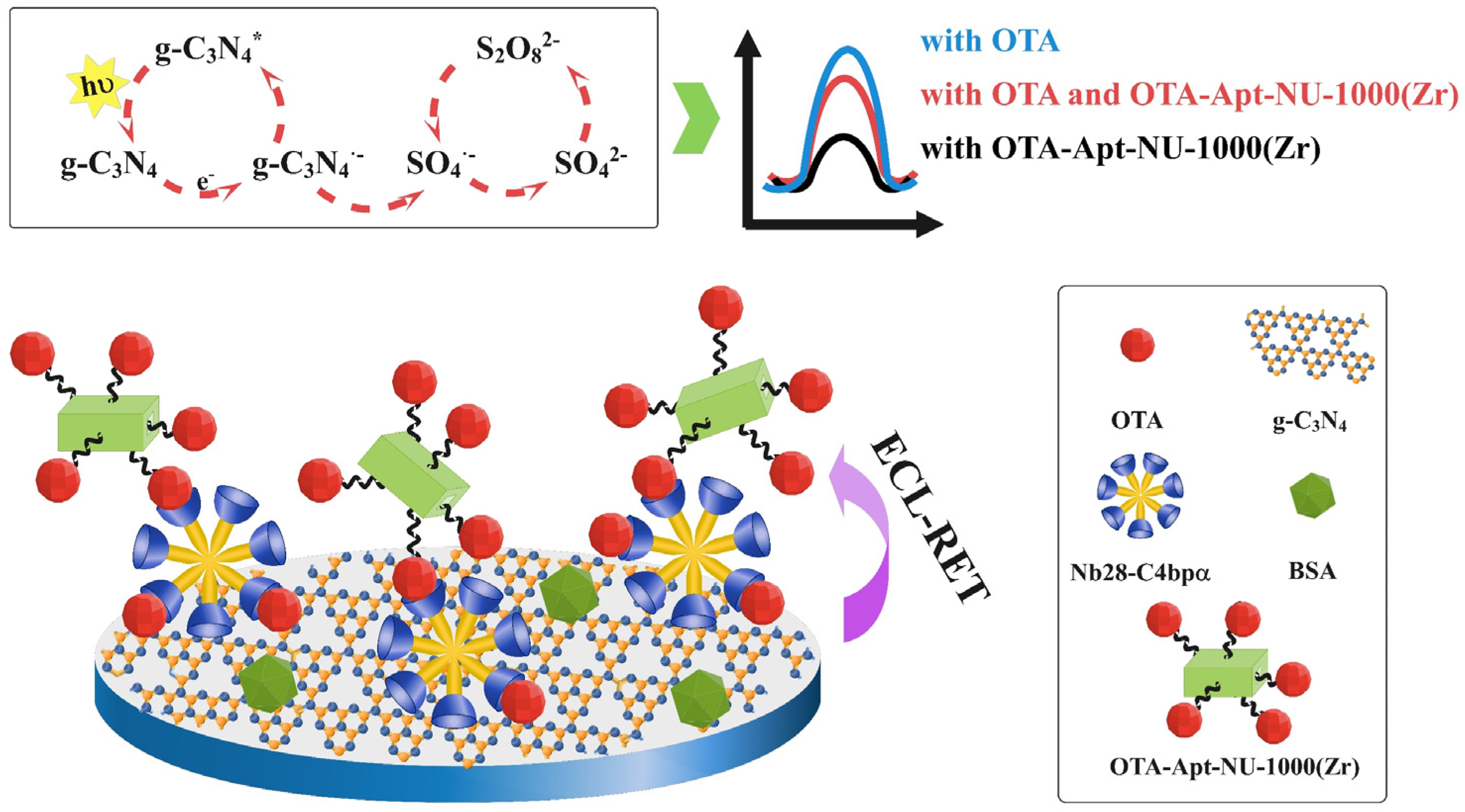 Foods 12 00707 sch001
