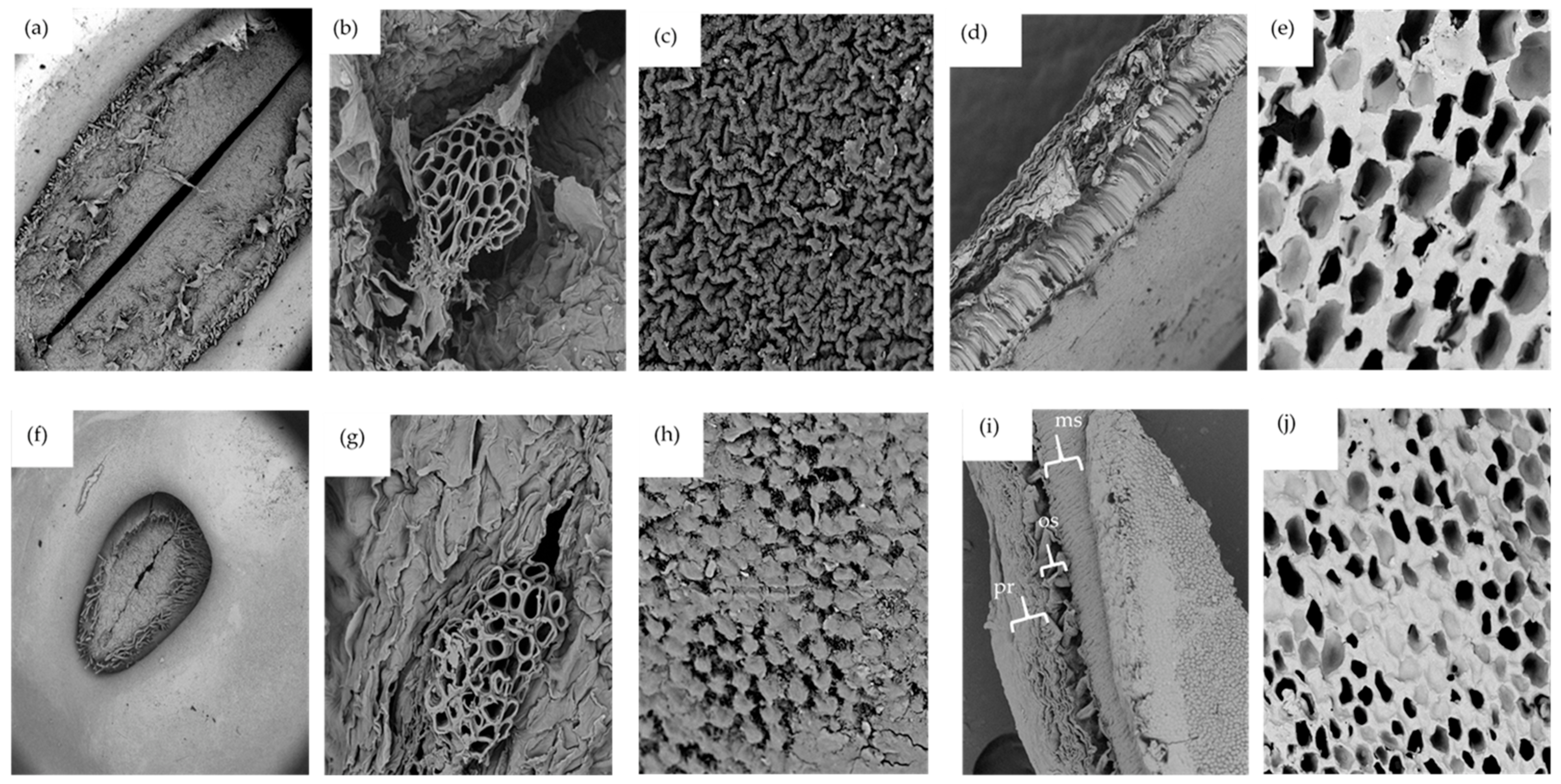 Foods 12 00709 g002 Foods 12 00709 g002