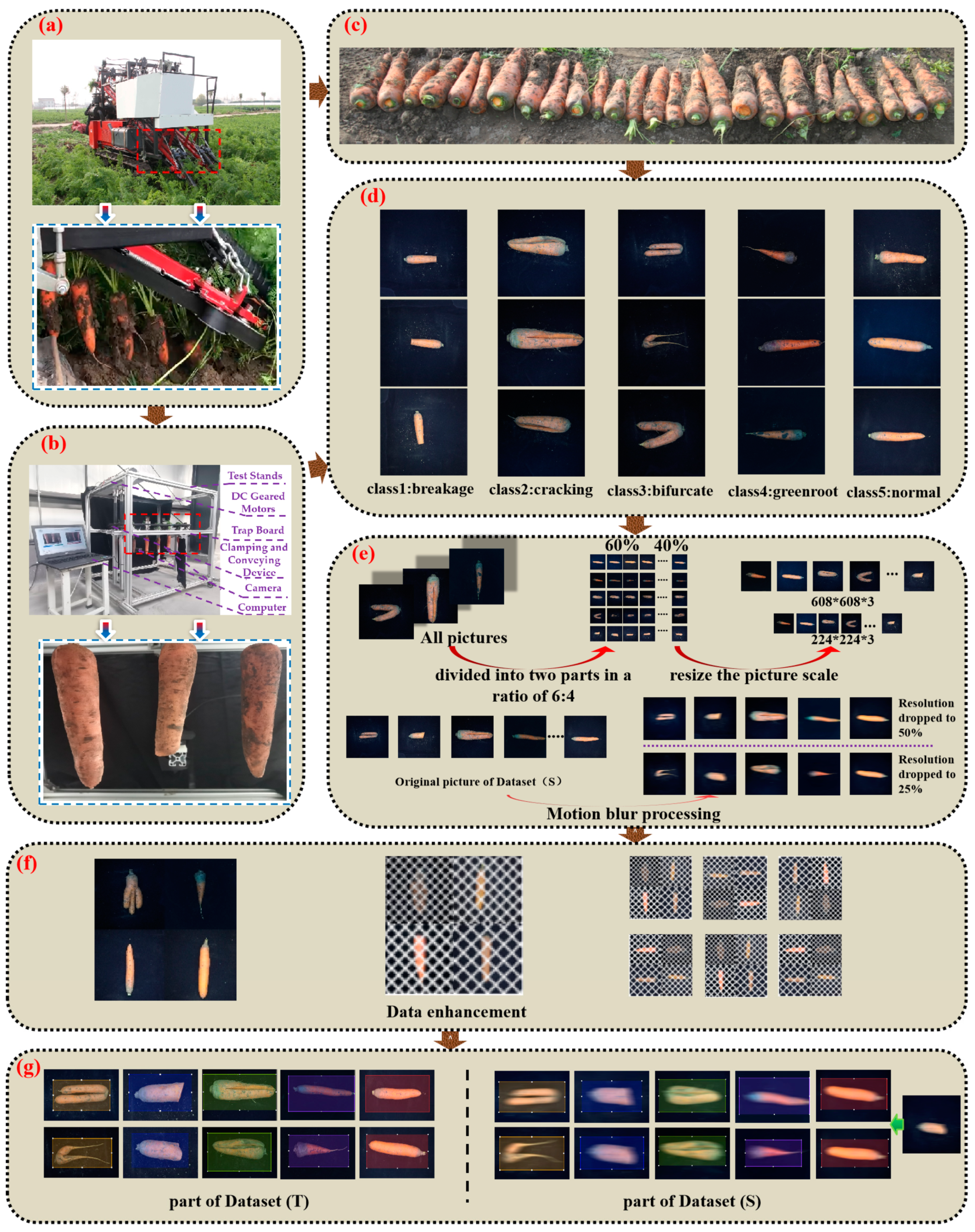 Foods 12 00793 g003 Foods 12 00793 g003