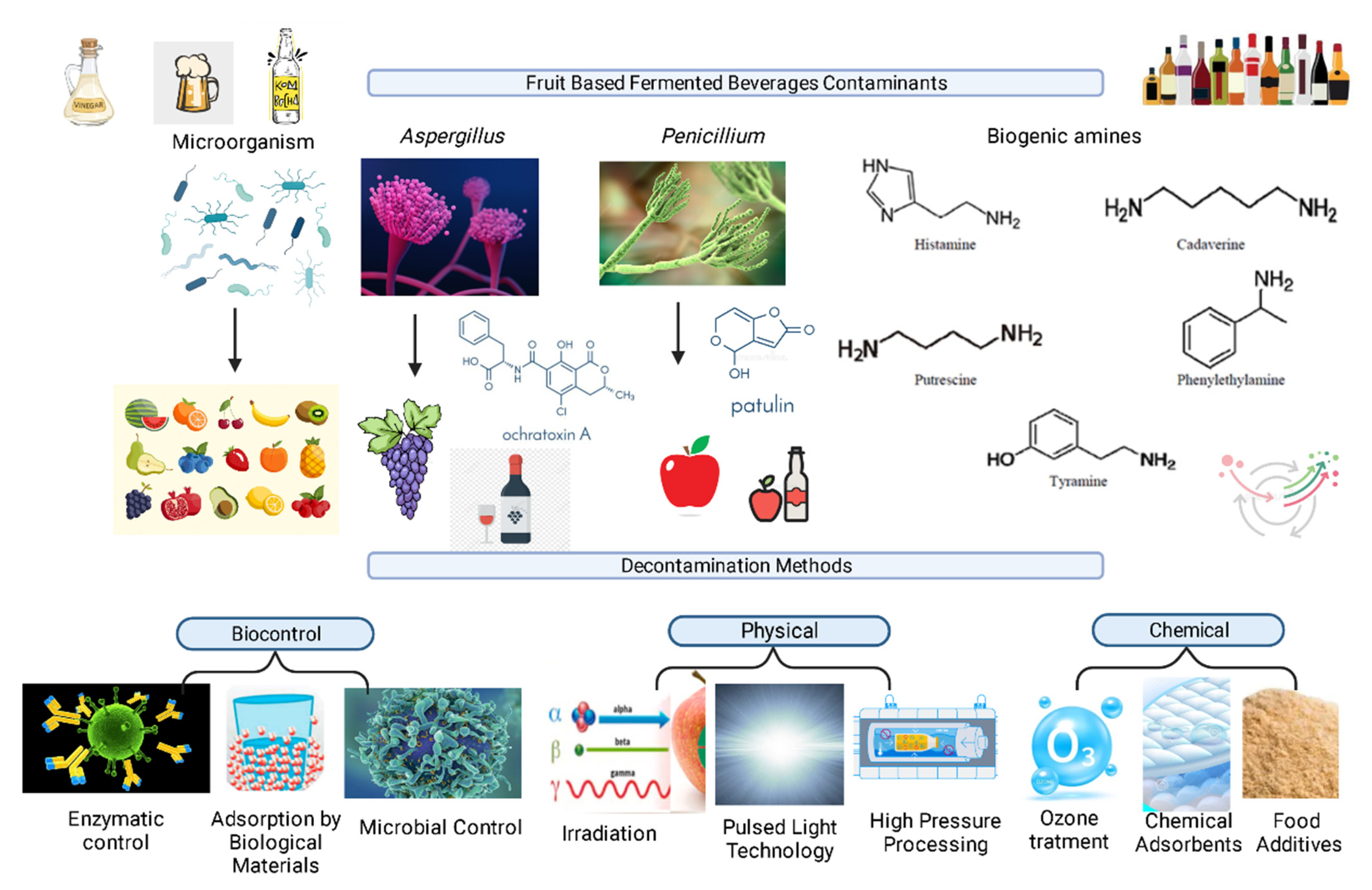 Foods | Free Full-Text | Fruit-Based Fermented Beverages: Contamination  Sources and Emerging Technologies Applied to Assure Their Safety