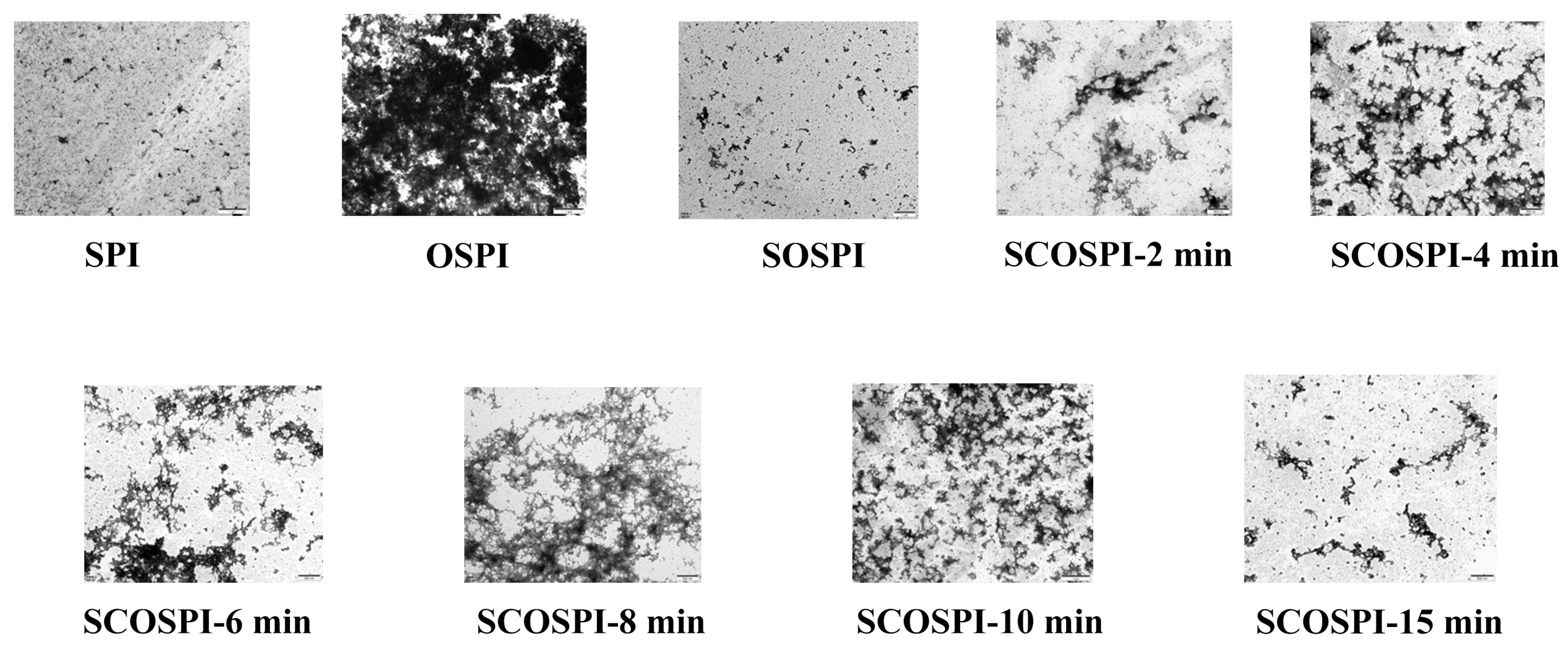 Foods 12 00909 g005 Foods 12 00909 g005