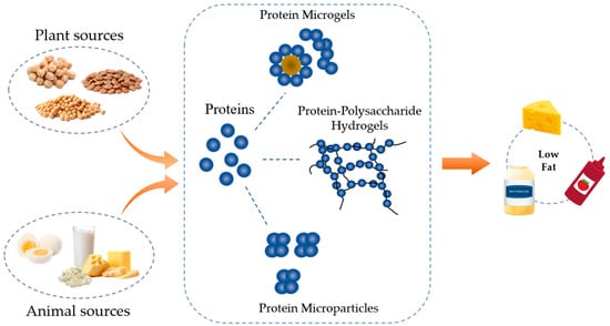 Foods Free Full Text Protein Based Fat Replacers A Focus On