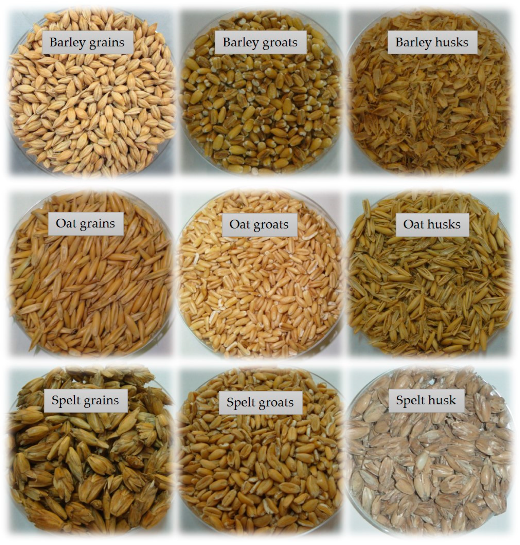 Foods | Free Full-Text | Compositional Traits of Grains and Groats of  Barley, Oat and Spelt Grown at Organic and Conventional Fields