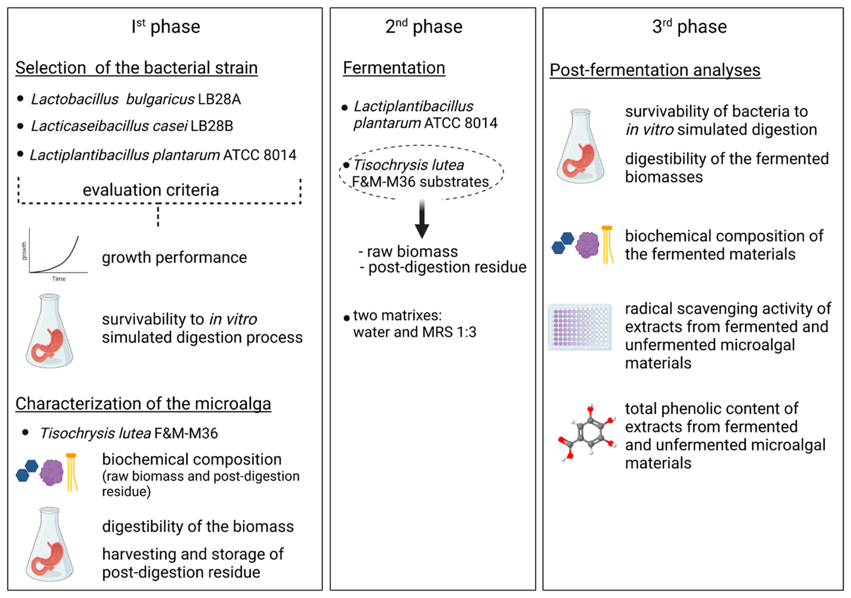 Foods 12 01128 g001 Foods 12 01128 g001