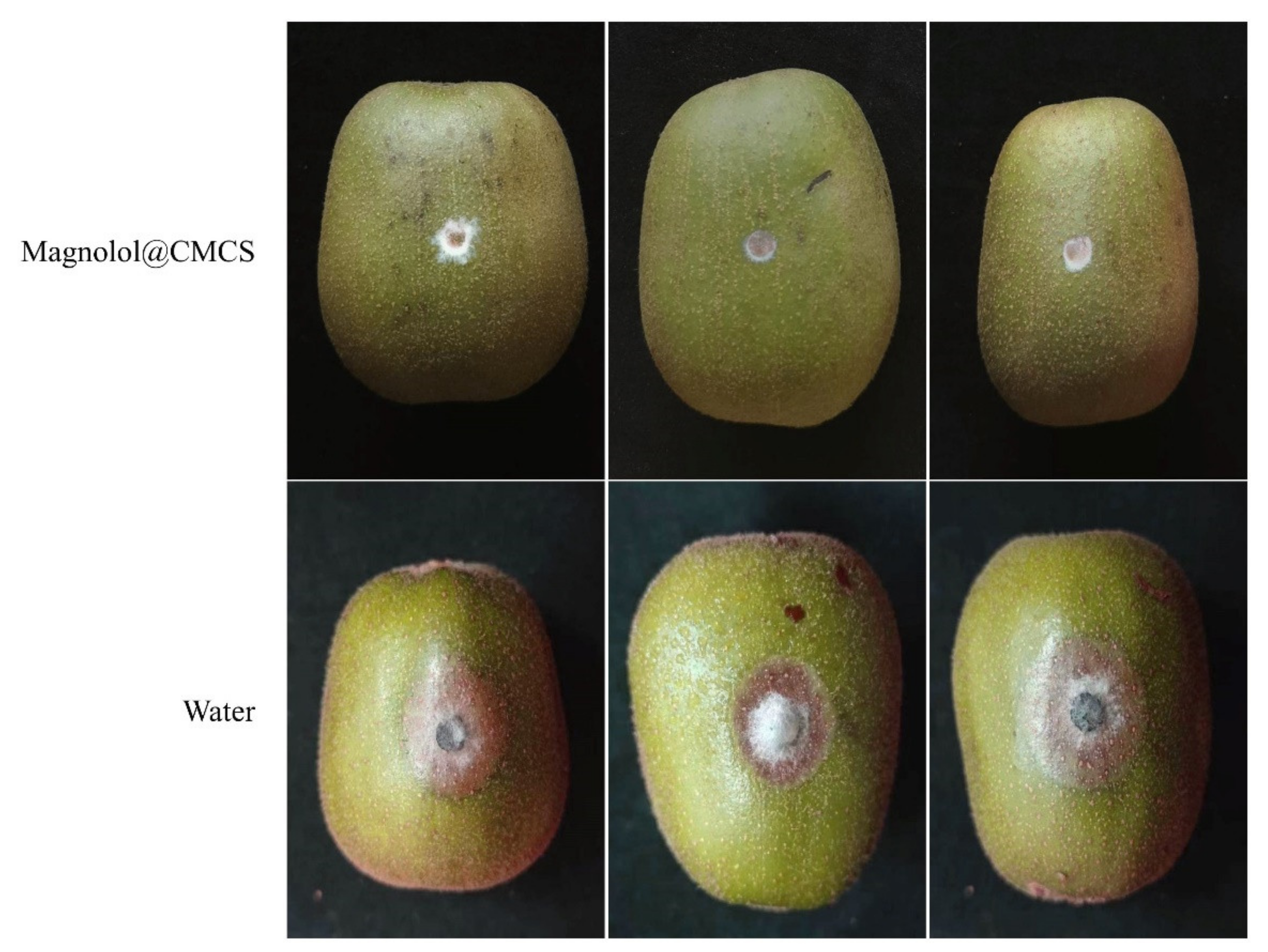 Foods 12 01149 g005 Foods 12 01149 g005