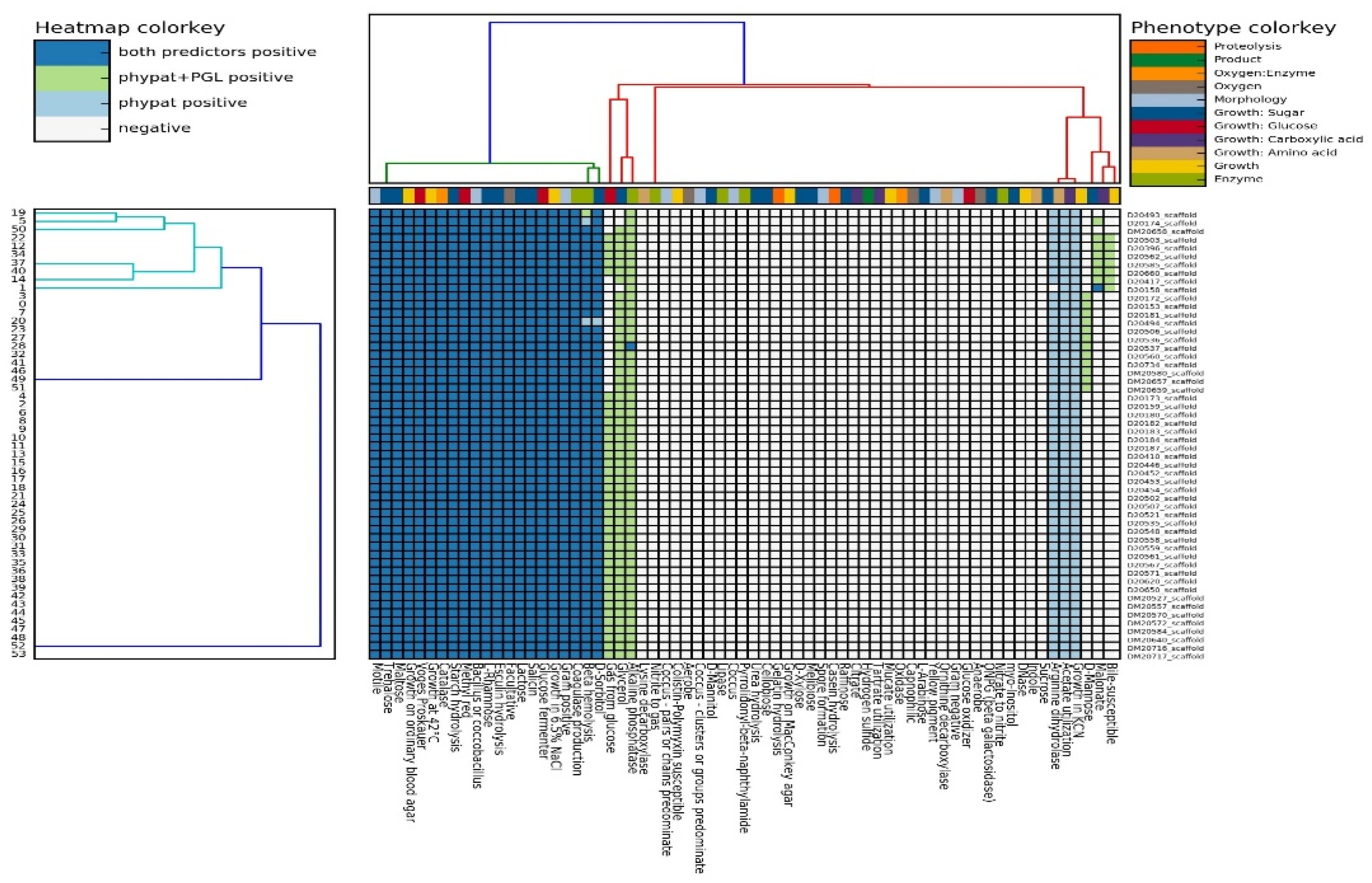 Foods 12 01200 g001 Foods 12 01200 g001