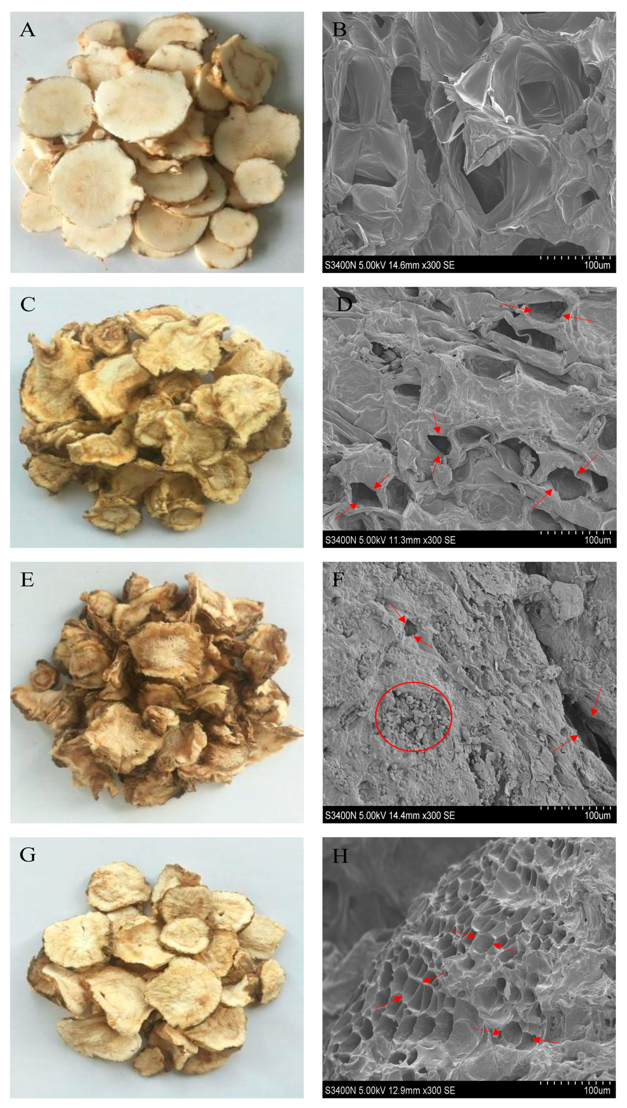 Foods 12 01202 g009 Foods 12 01202 g009