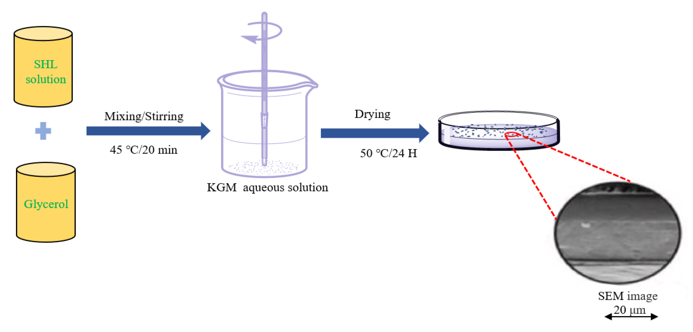 Foods 12 01215 g001 Foods 12 01215 g001