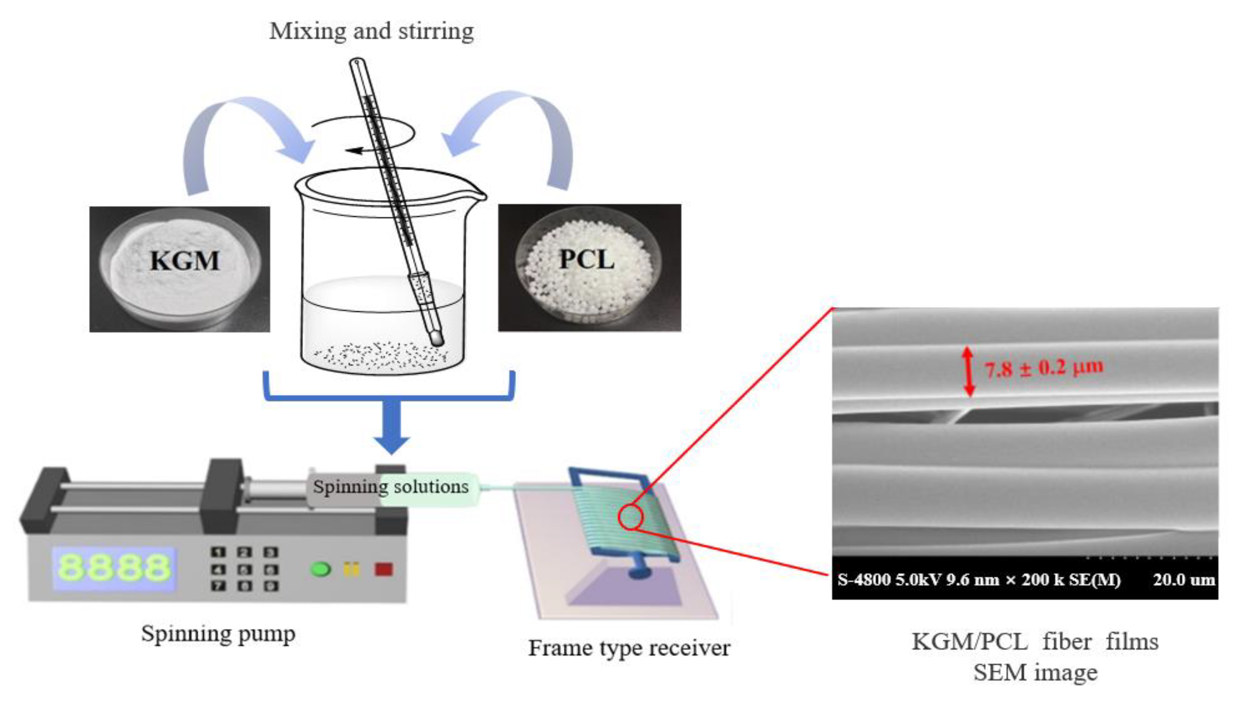 Foods 12 01215 g002 Foods 12 01215 g002