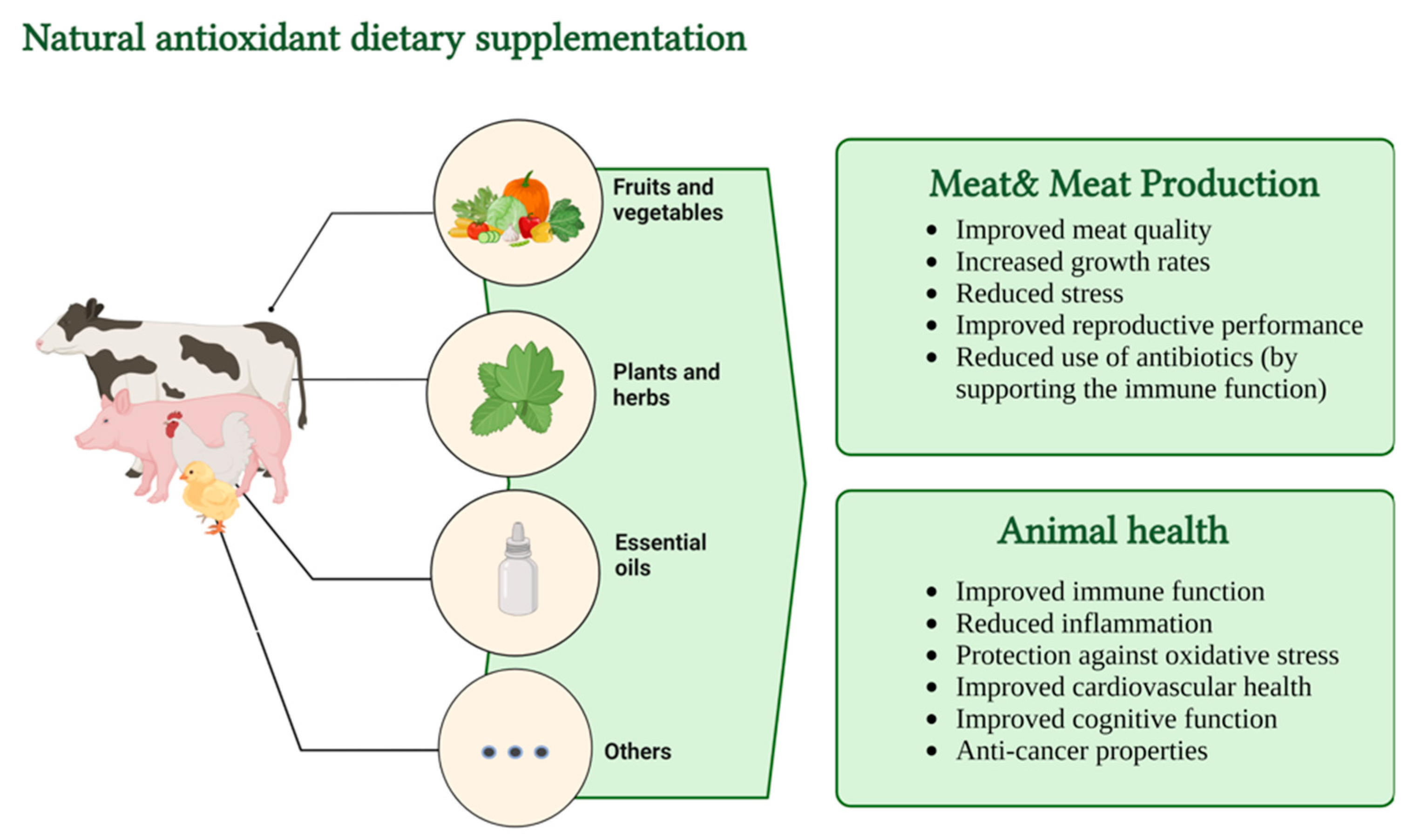 Foods 12 01334 g003 Foods 12 01334 g003