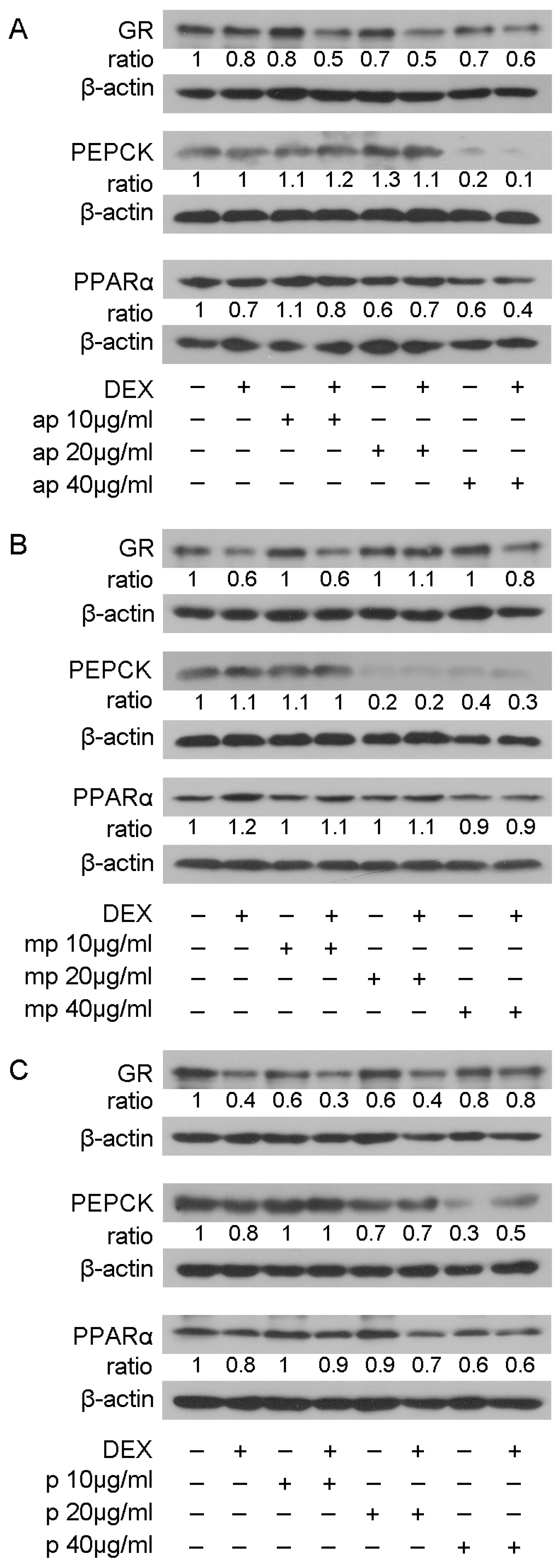 Foods 12 01390 g004 Foods 12 01390 g004