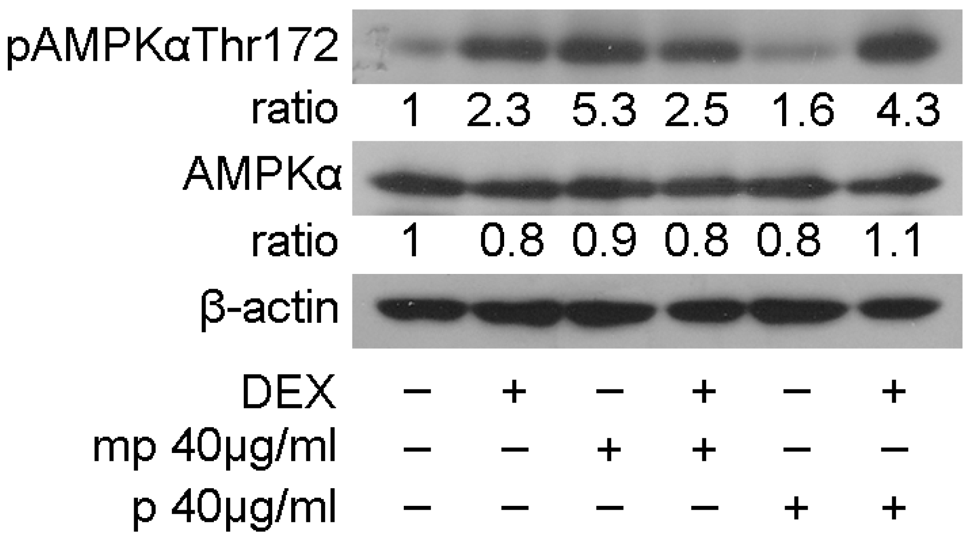 Foods 12 01390 g005 Foods 12 01390 g005