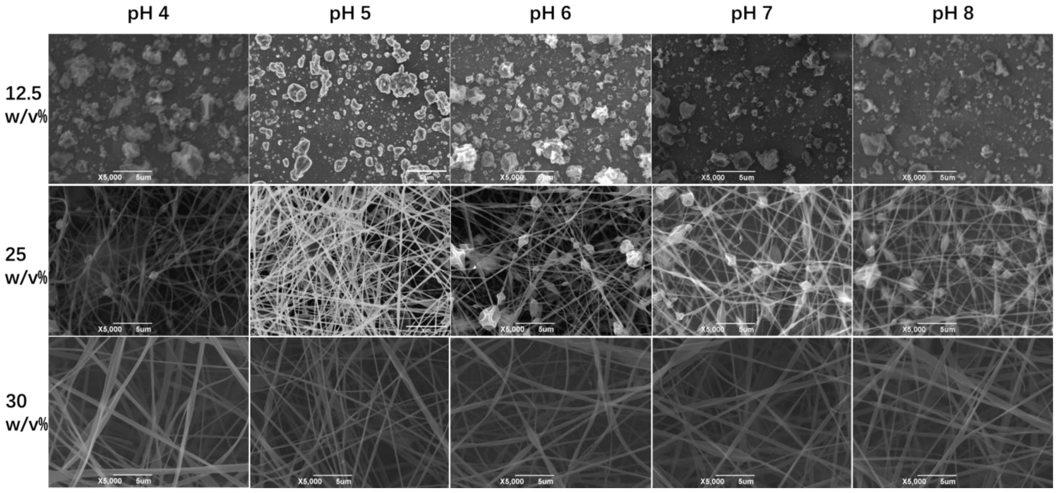 Foods 12 01395 g004 Foods 12 01395 g004