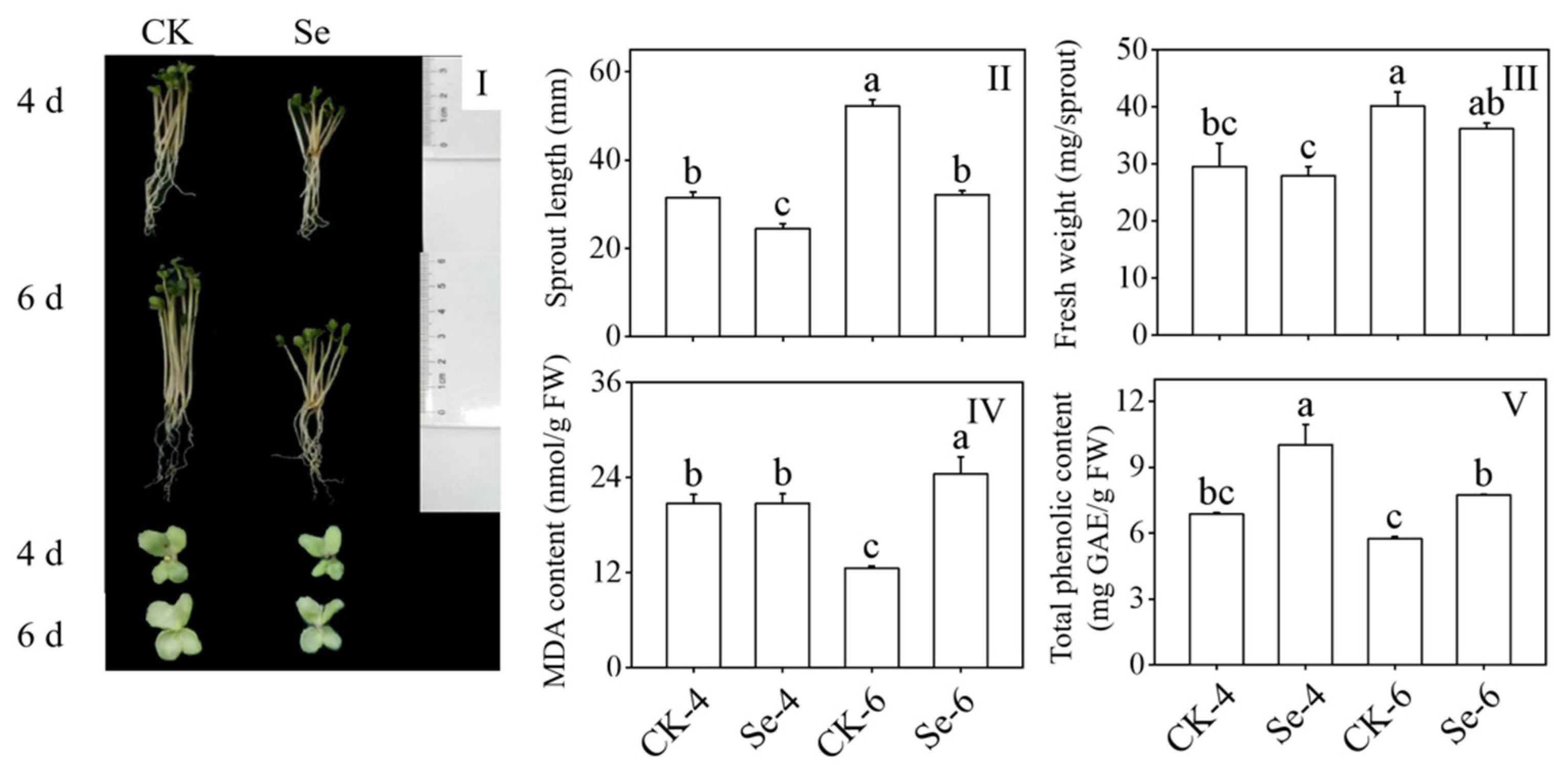 Foods 12 01397 g001 Foods 12 01397 g001