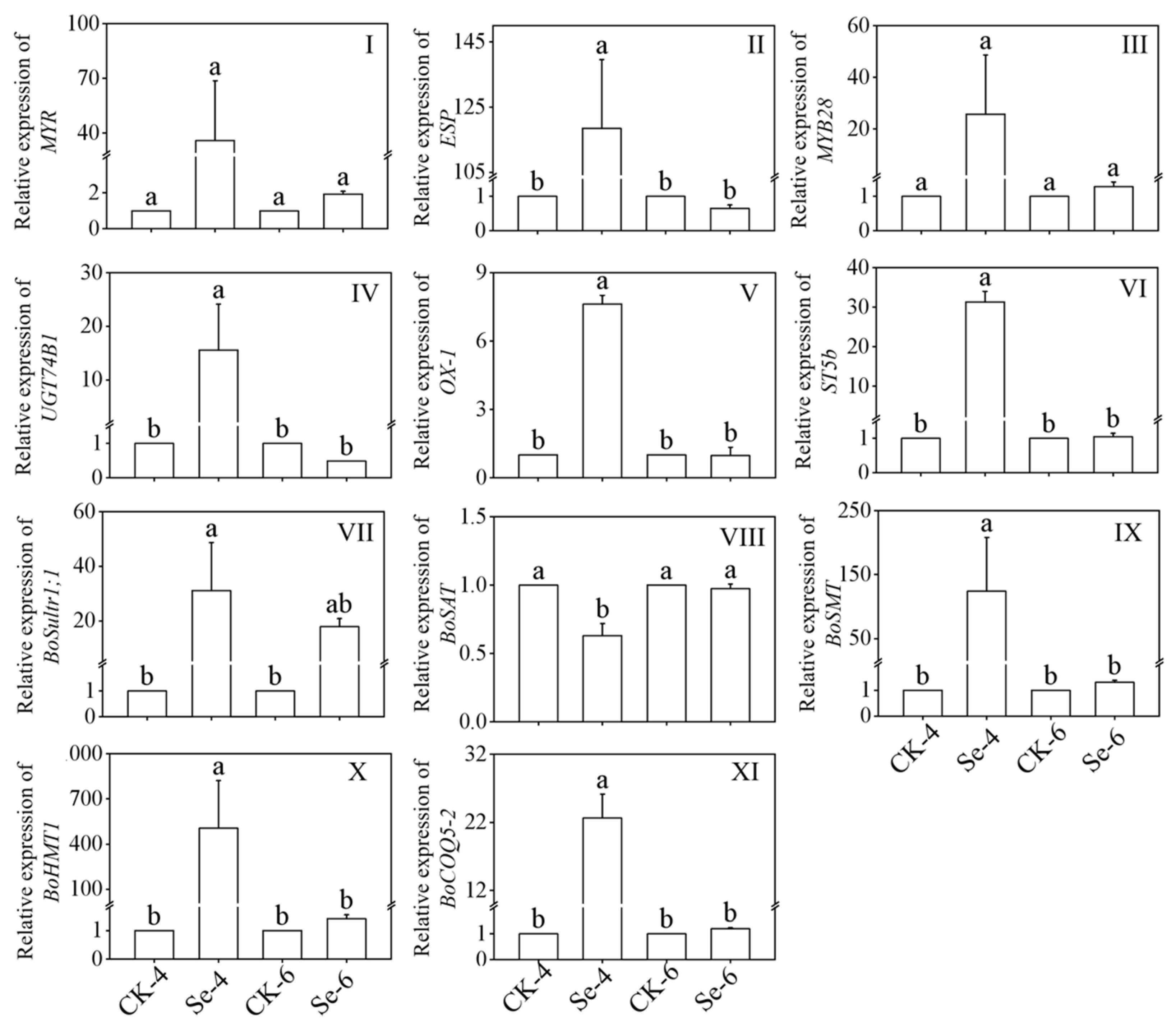 Foods 12 01397 g004 Foods 12 01397 g004