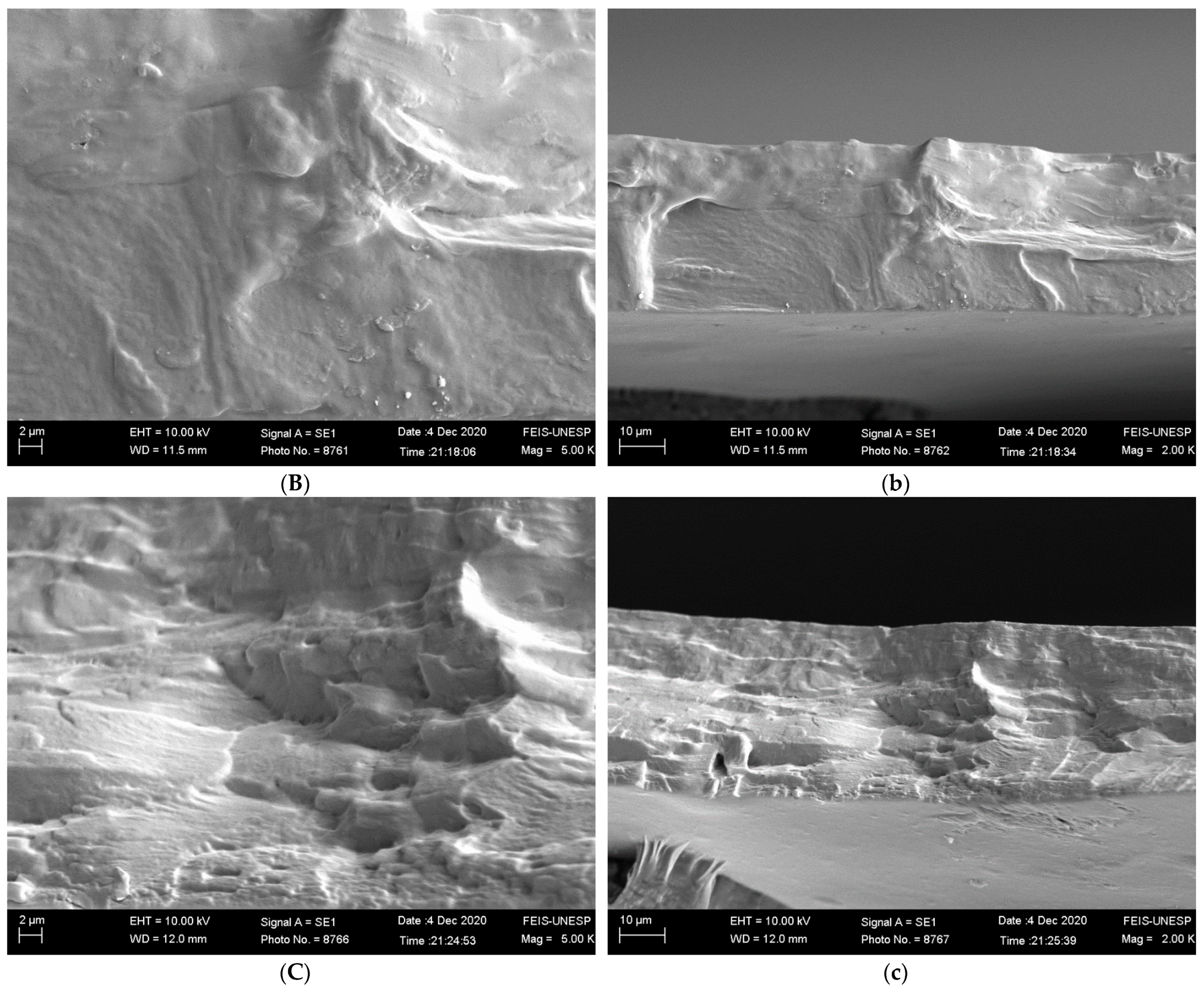 Foods 12 01405 g001b Foods 12 01405 g001b