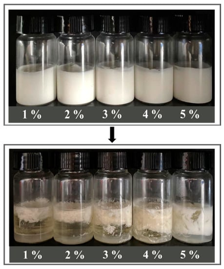 Foods | Free Full-Text | High Internal Phase Emulsions Stabilized 