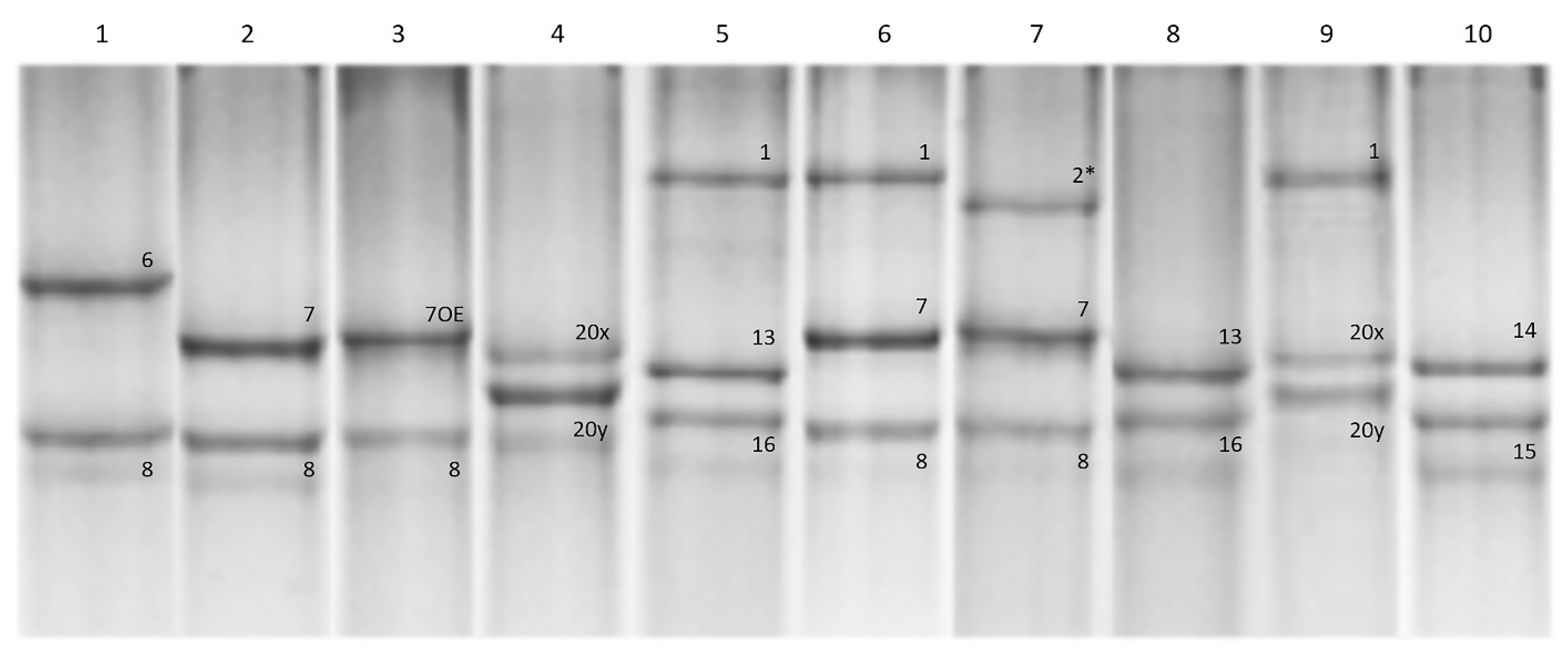 Foods 12 01436 g001 Foods 12 01436 g001