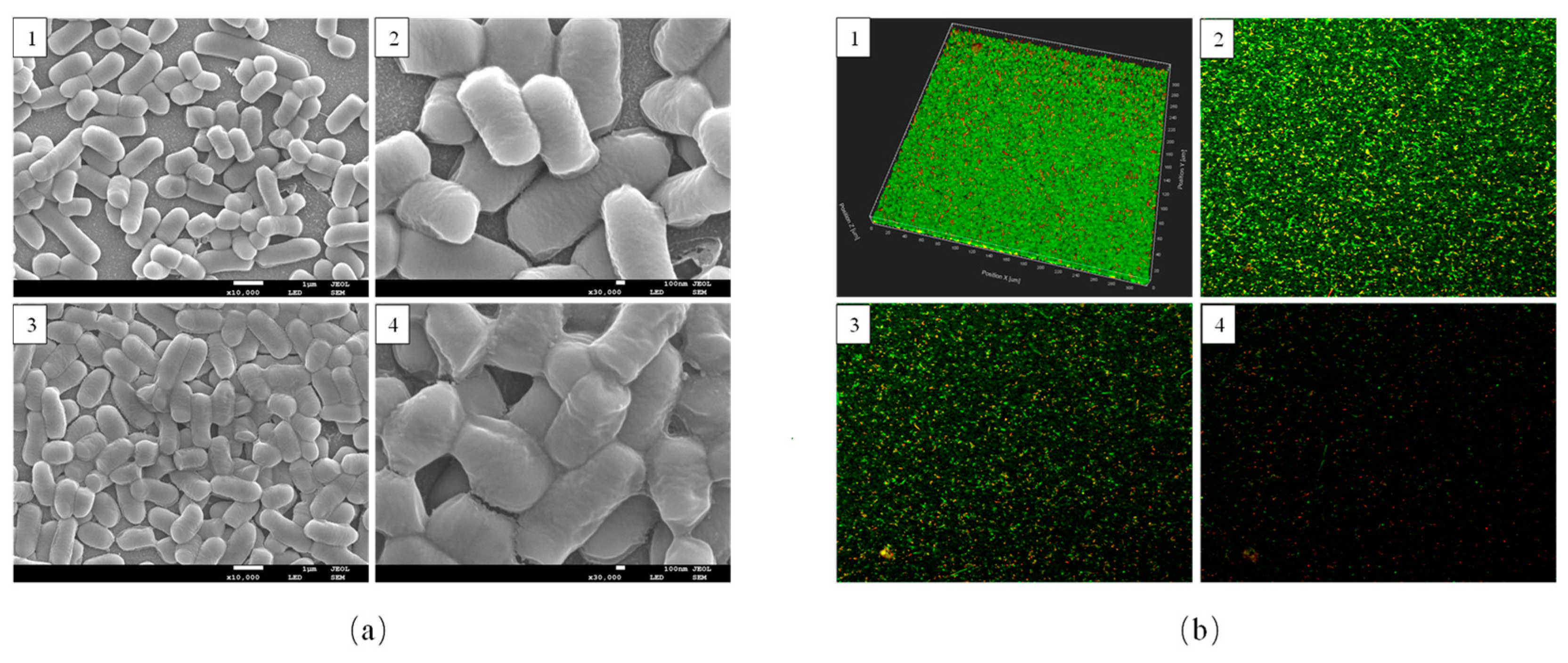 Foods 12 01516 g002 Foods 12 01516 g002