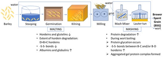 https://www.mdpi.com/foods/foods-12-01543/article_deploy/html/images/foods-12-01543-g001-550.jpg