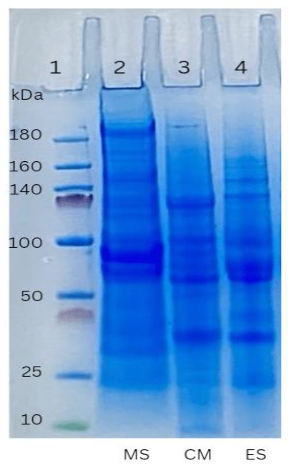 Foods 12 01564 g002 Foods 12 01564 g002