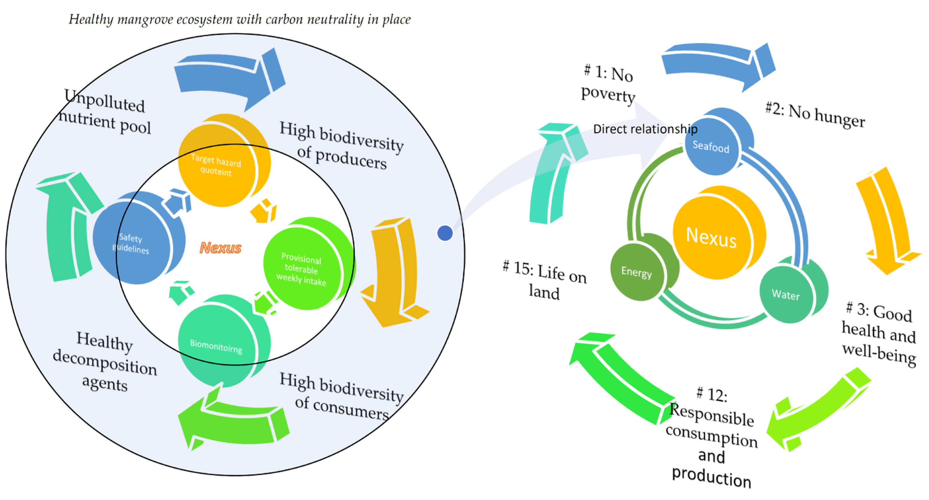 Foods 12 01575 g006 Foods 12 01575 g006