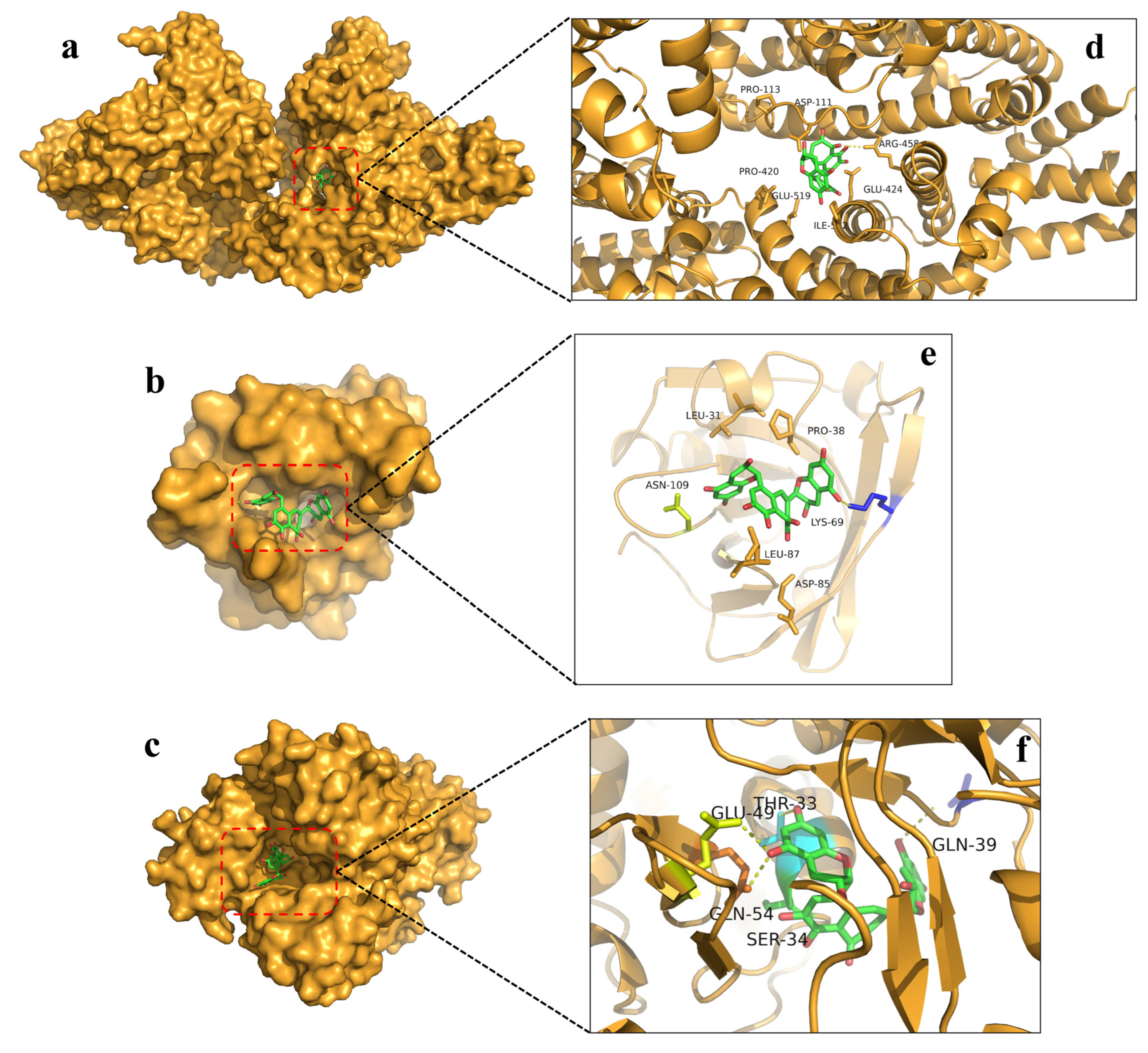 Foods 12 01637 g006 Foods 12 01637 g006