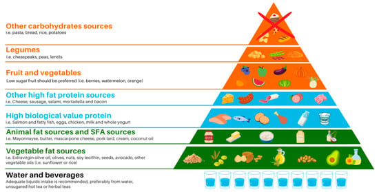 Foods | Free Full-Text | A Review of Ketogenic Dietary Therapies for ...